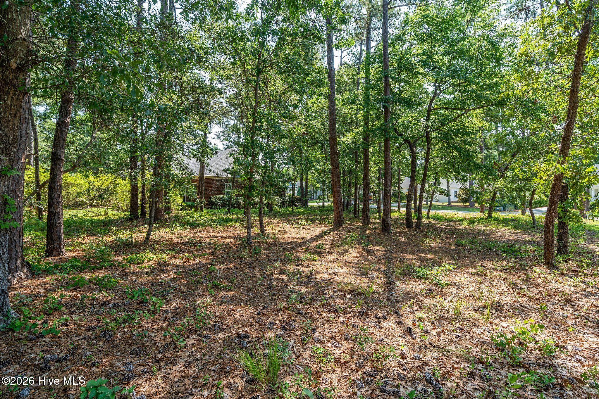 3840 27 Timber Stream Drive Property Photo 7