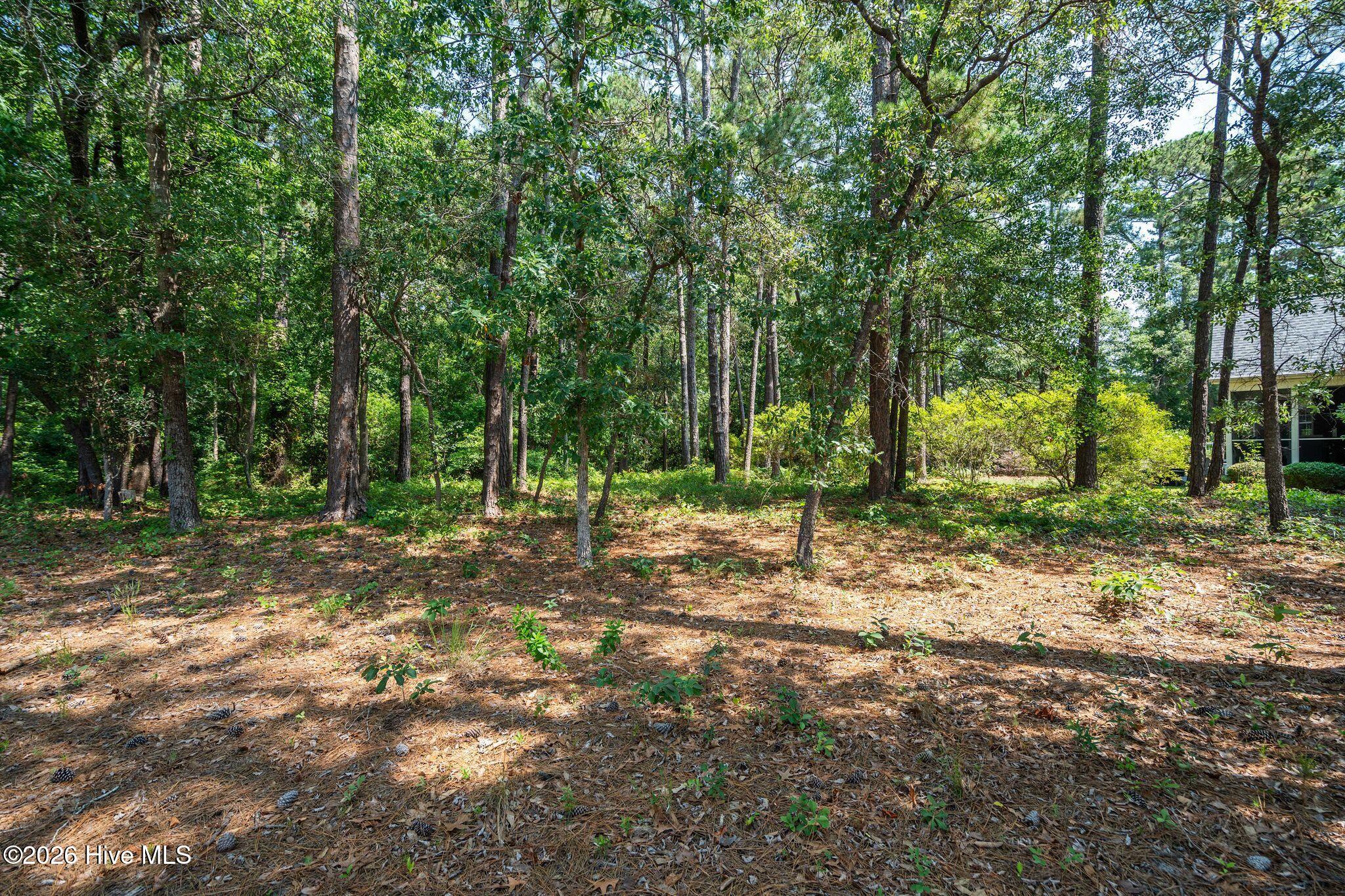 3840 27 Timber Stream Drive Property Photo 8