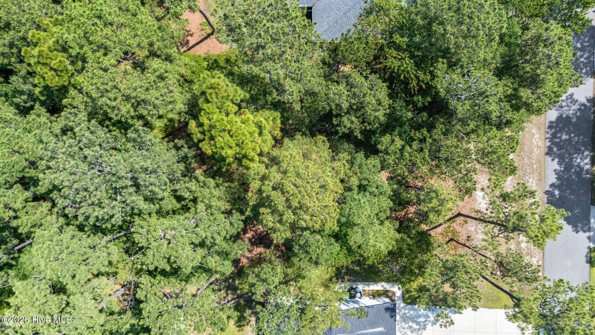 3840 27 Timber Stream Drive Property Photo 16