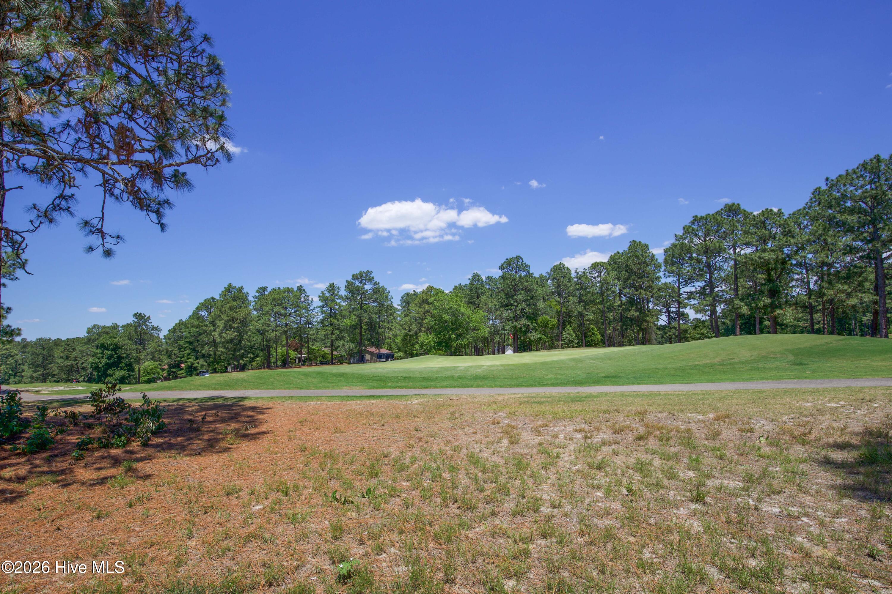 6 Pine Tree Terrace Property Photo 31