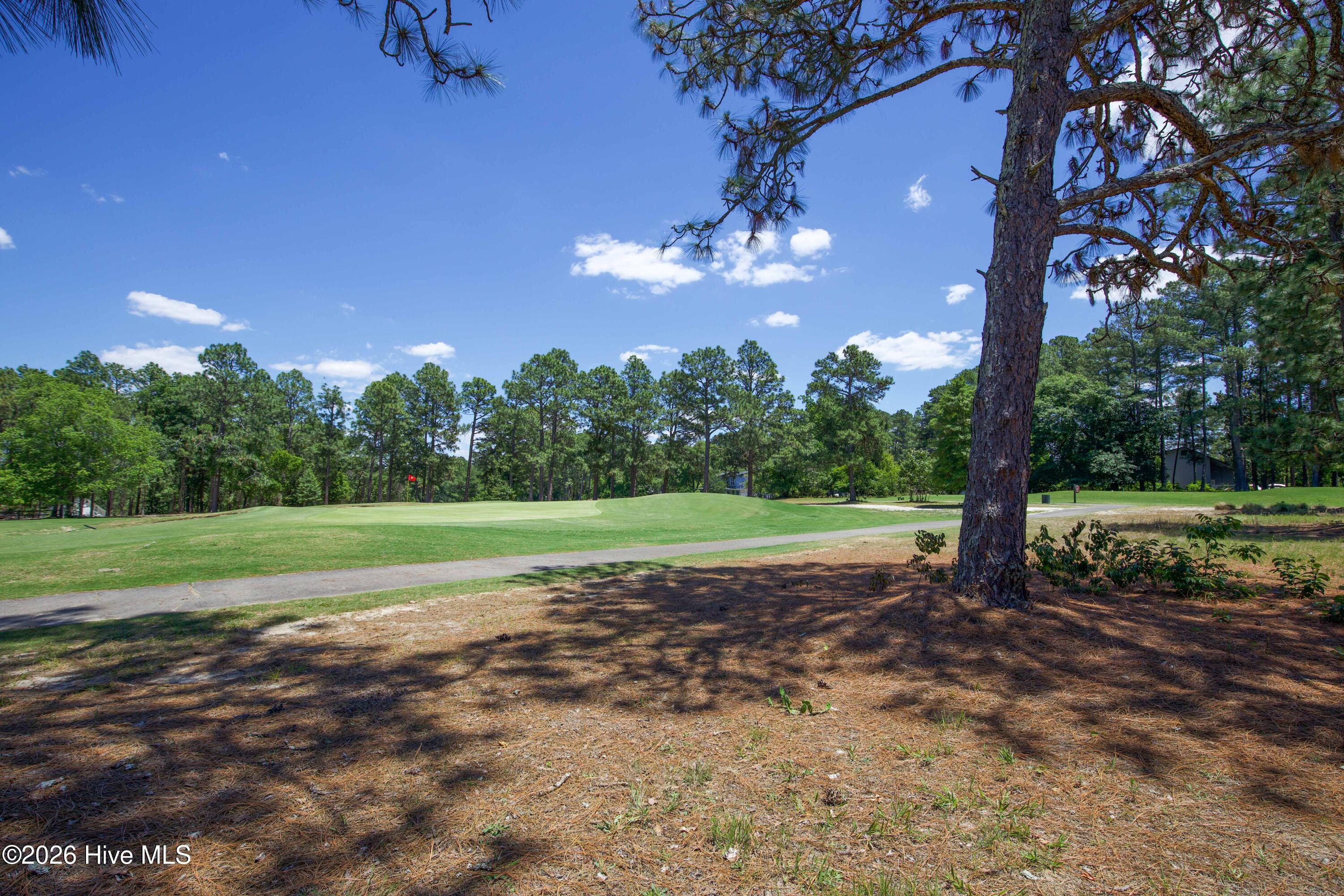 6 Pine Tree Terrace Property Photo 33