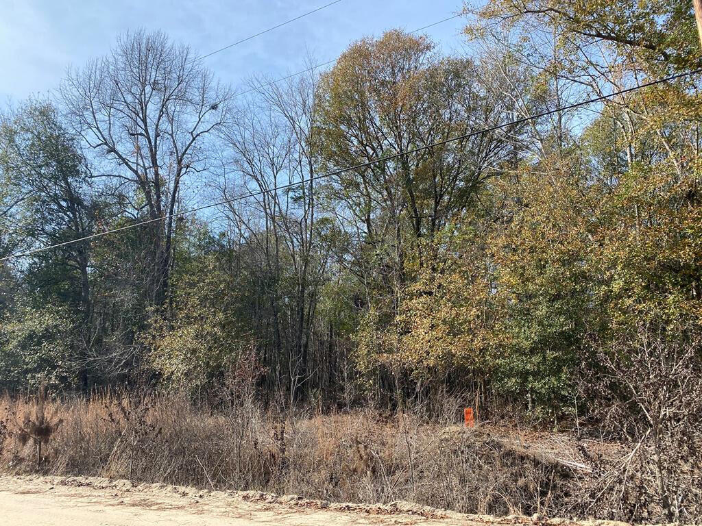 Lot 14 14 Robin Boulevard Property Photo 1
