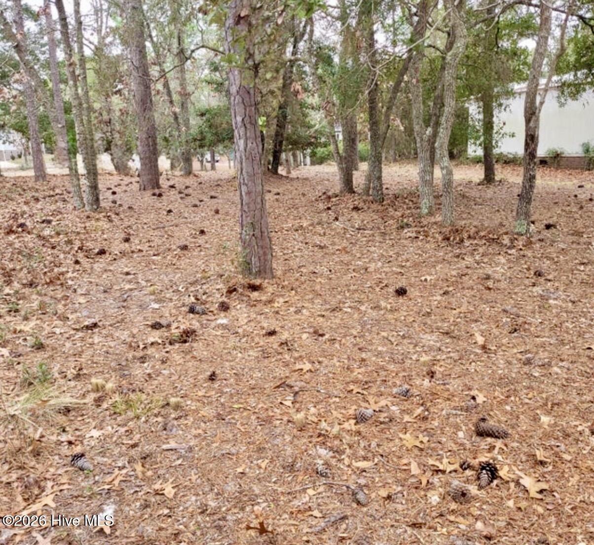 3317 6 Marlin Drive Se Property Photo 1