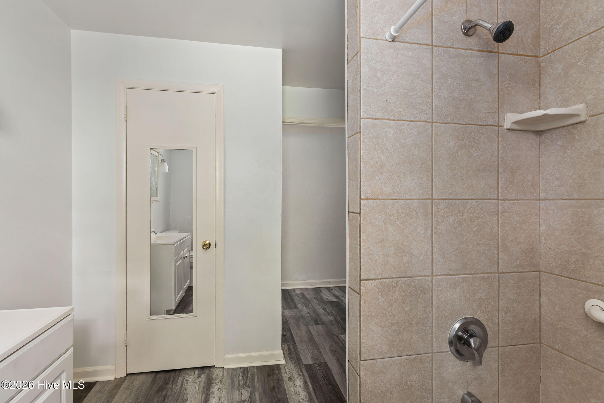 60 Fleming Street Property Photo 29