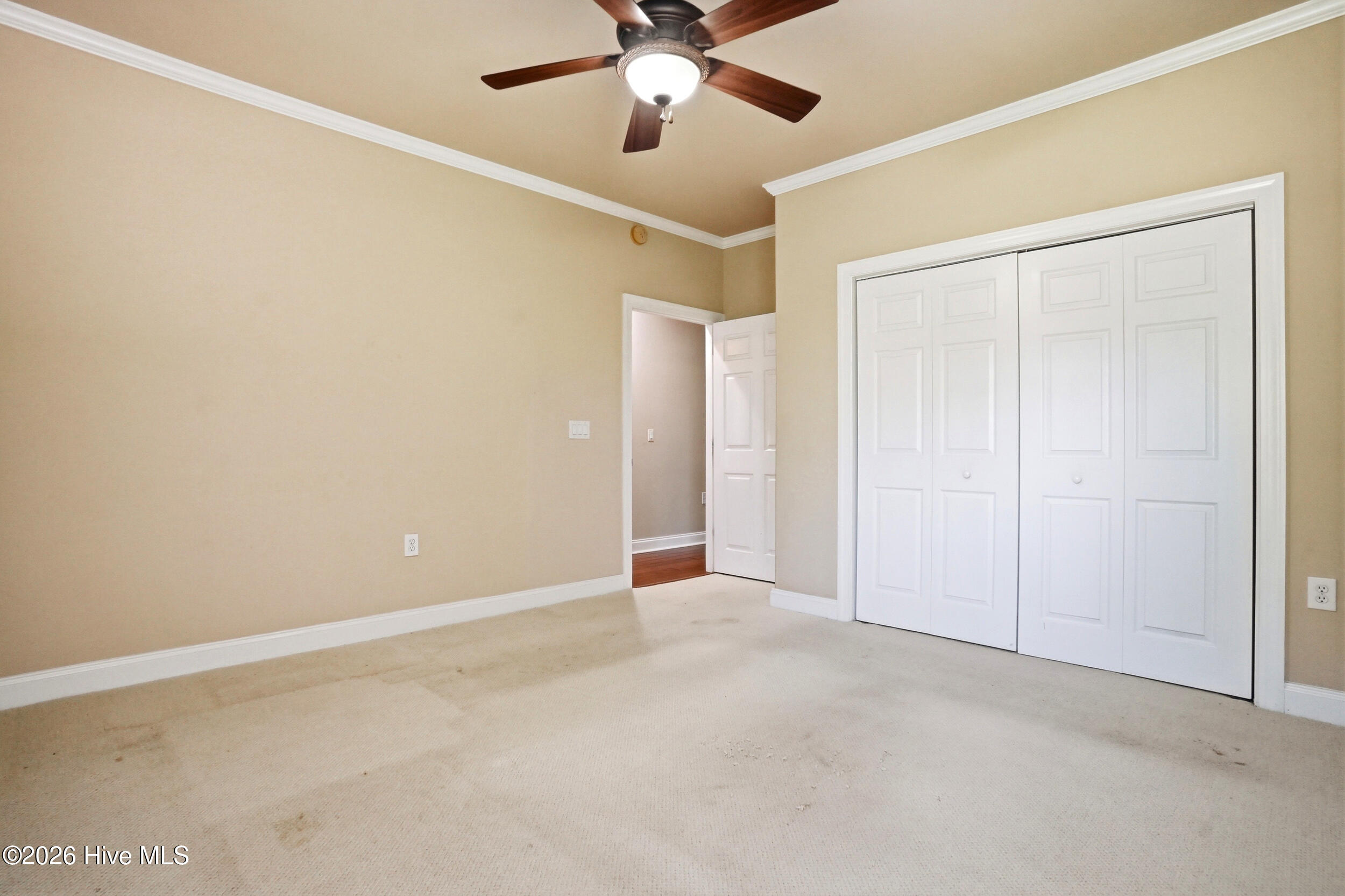 1101 Lillibridge Drive Property Photo 22