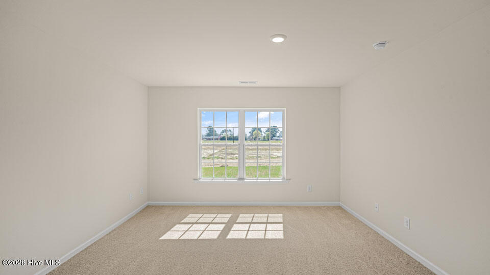 4816 Martha Wynd Way Property Photo 28