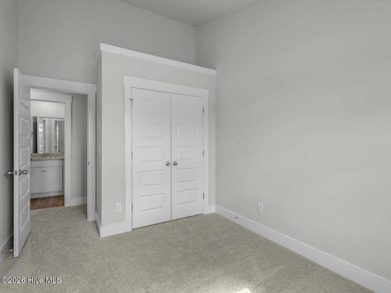 4205 Allsbrook Lane Unit 1065 Property Photo 28