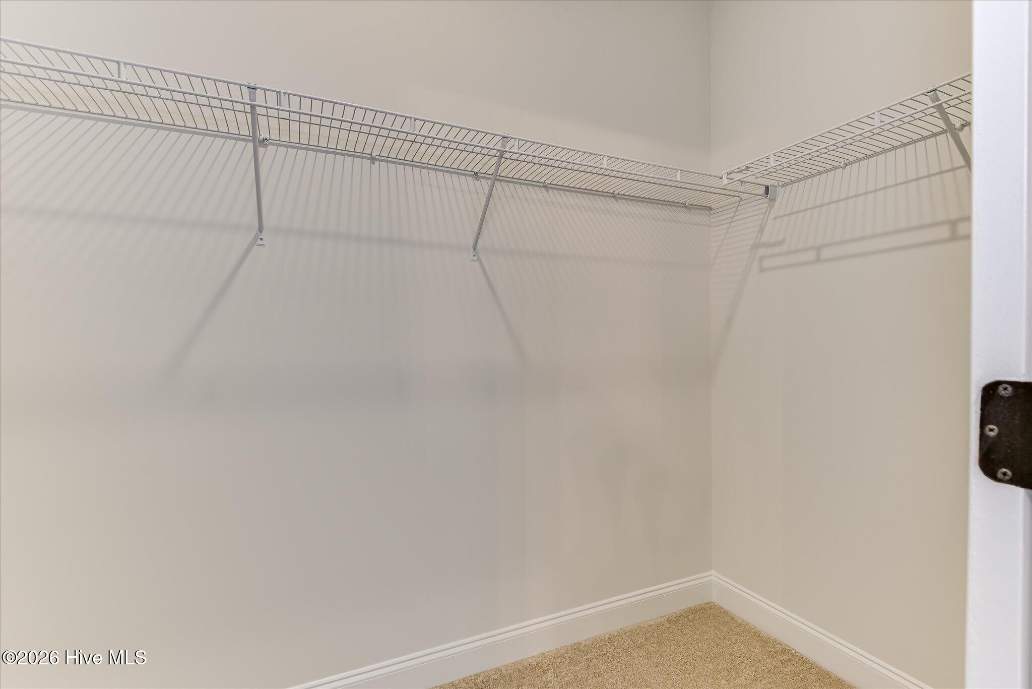 1014 Gregory Landing Drive Property Photo 28