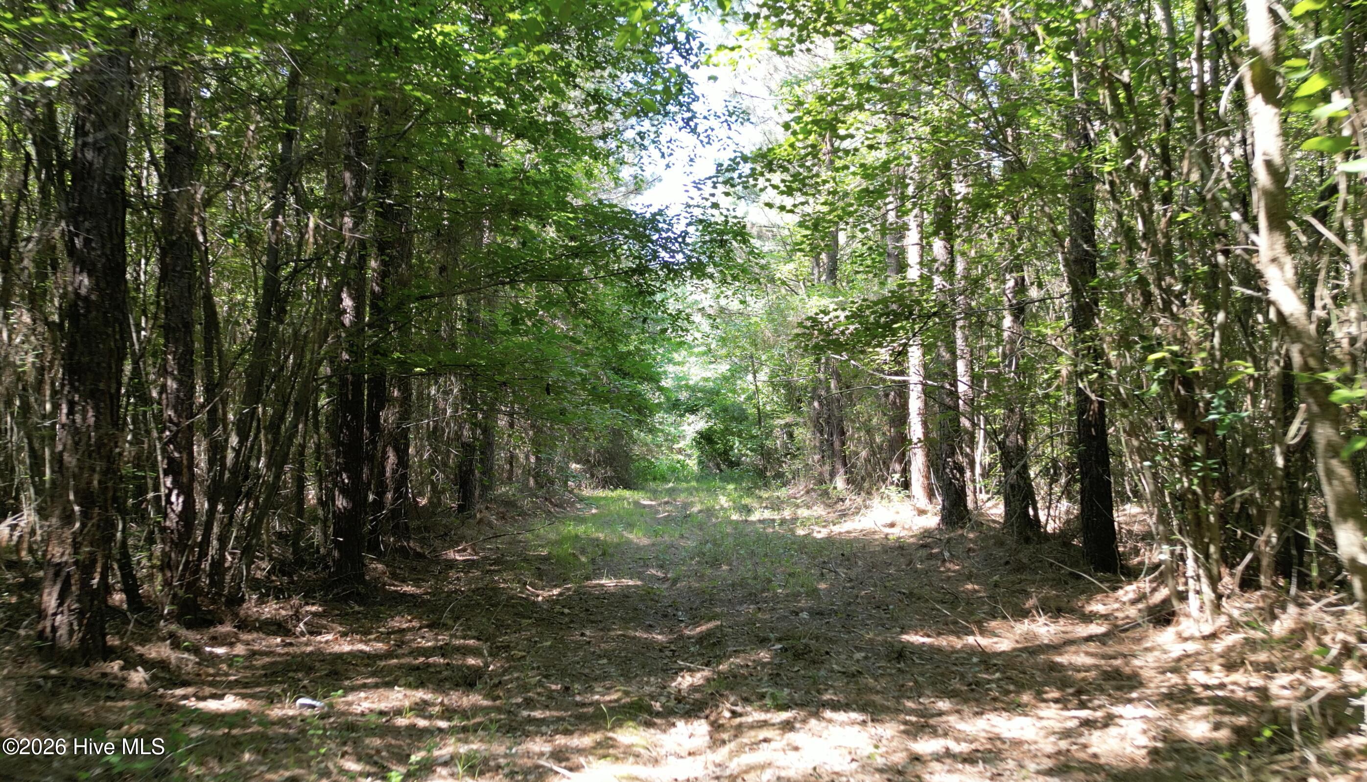 33 Heathsville Road Property Photo 19