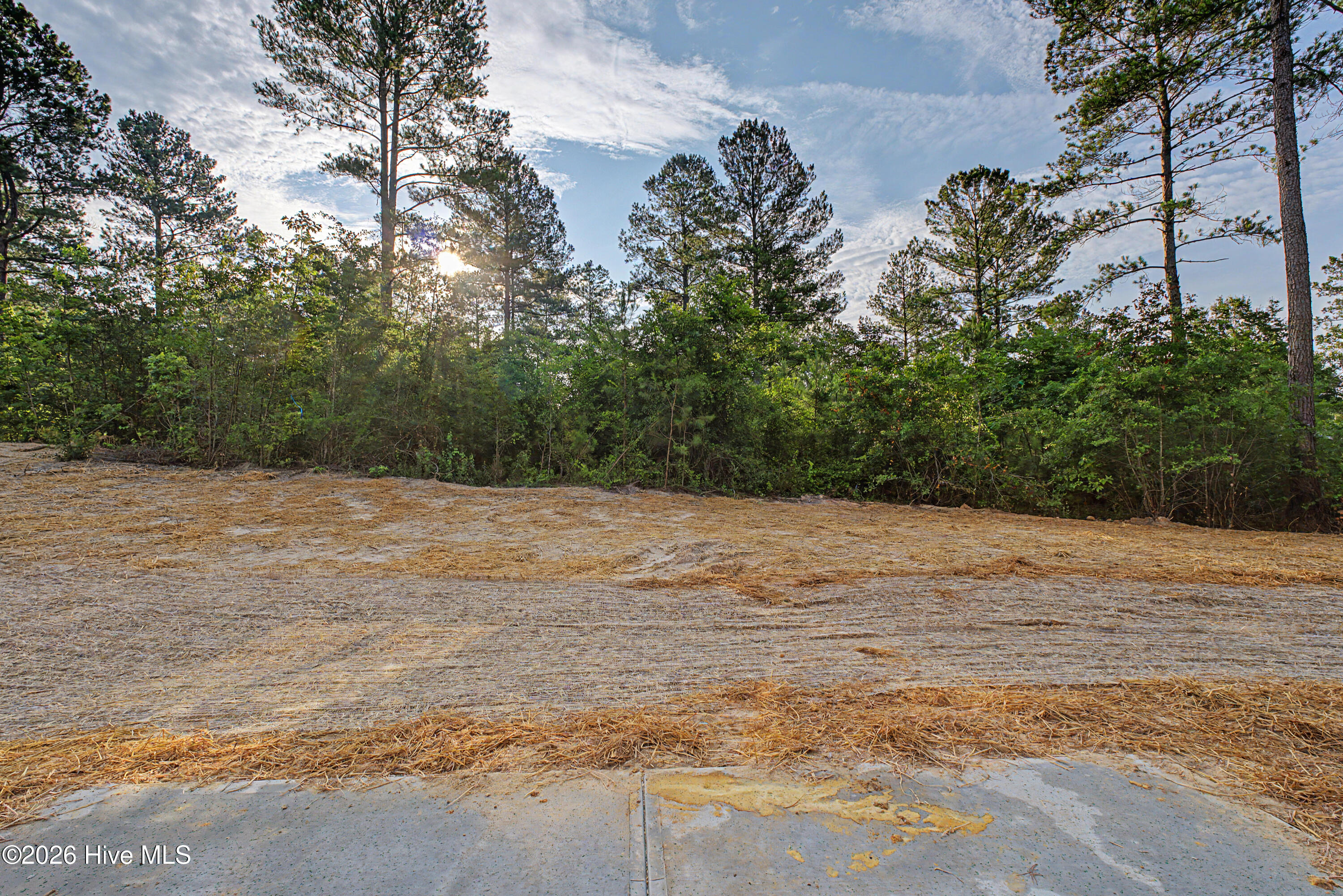 4416 Seago Road Property Photo 26