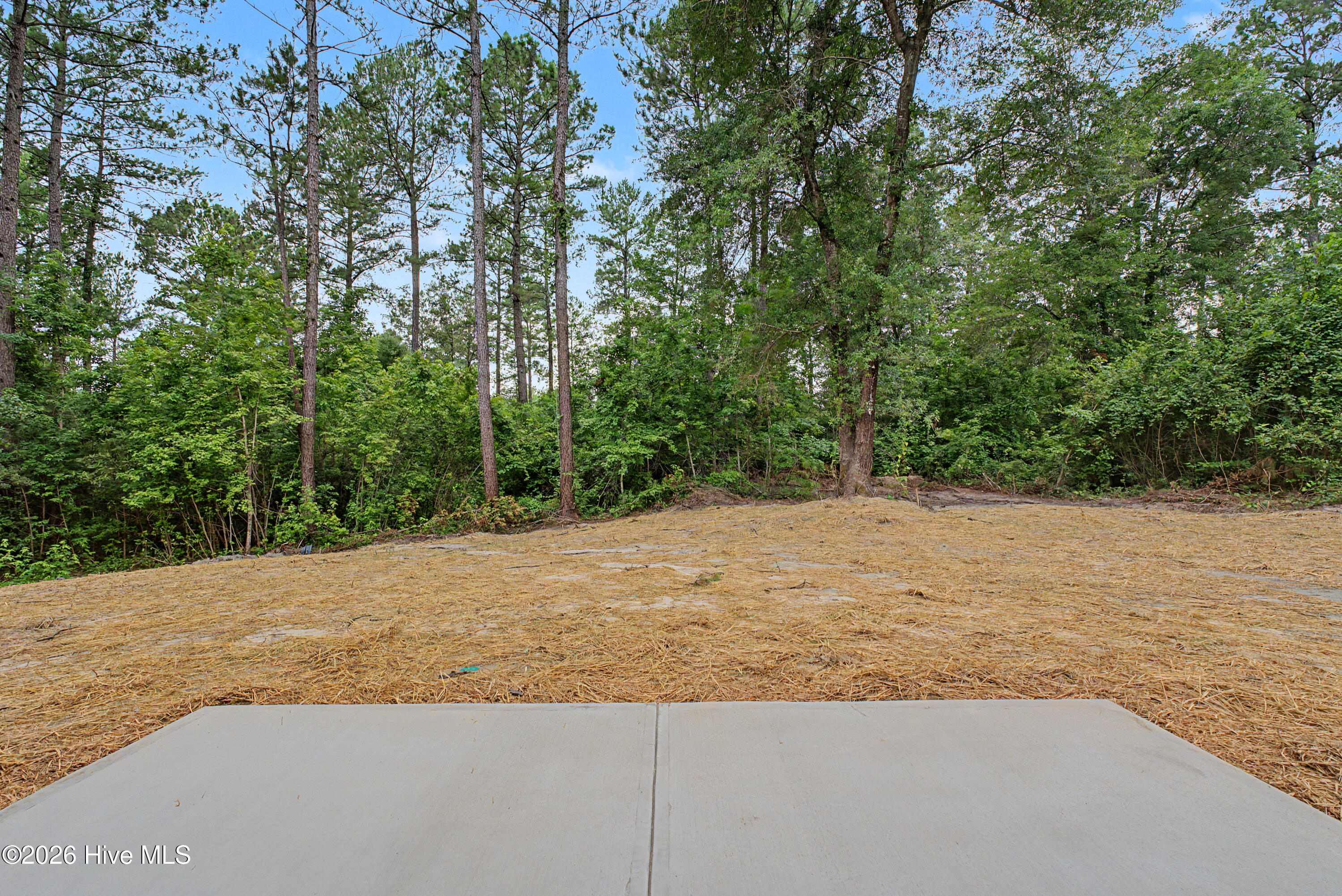 4417 Seago Road Property Photo 30