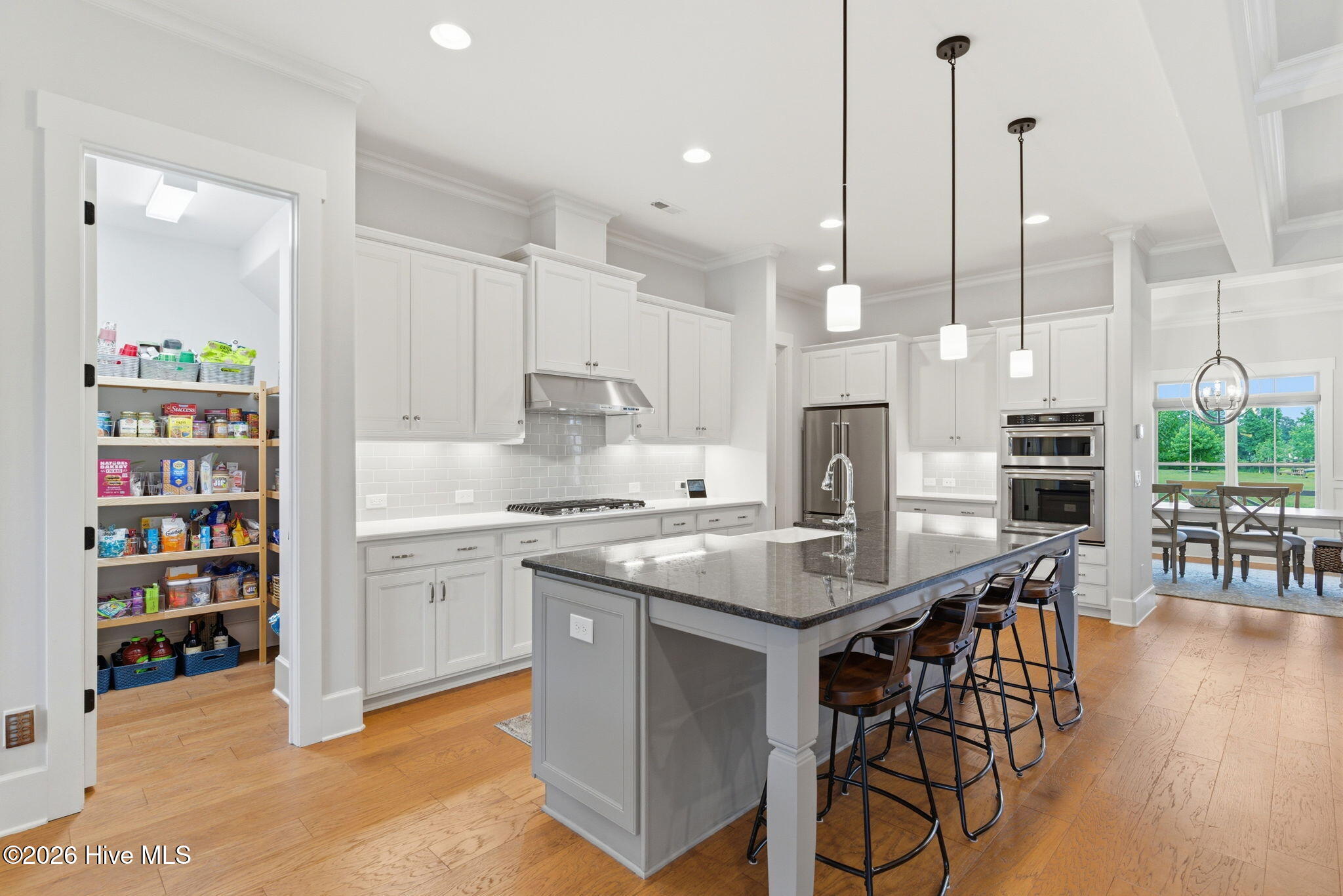 1135 Water Lily Way Property Photo 15