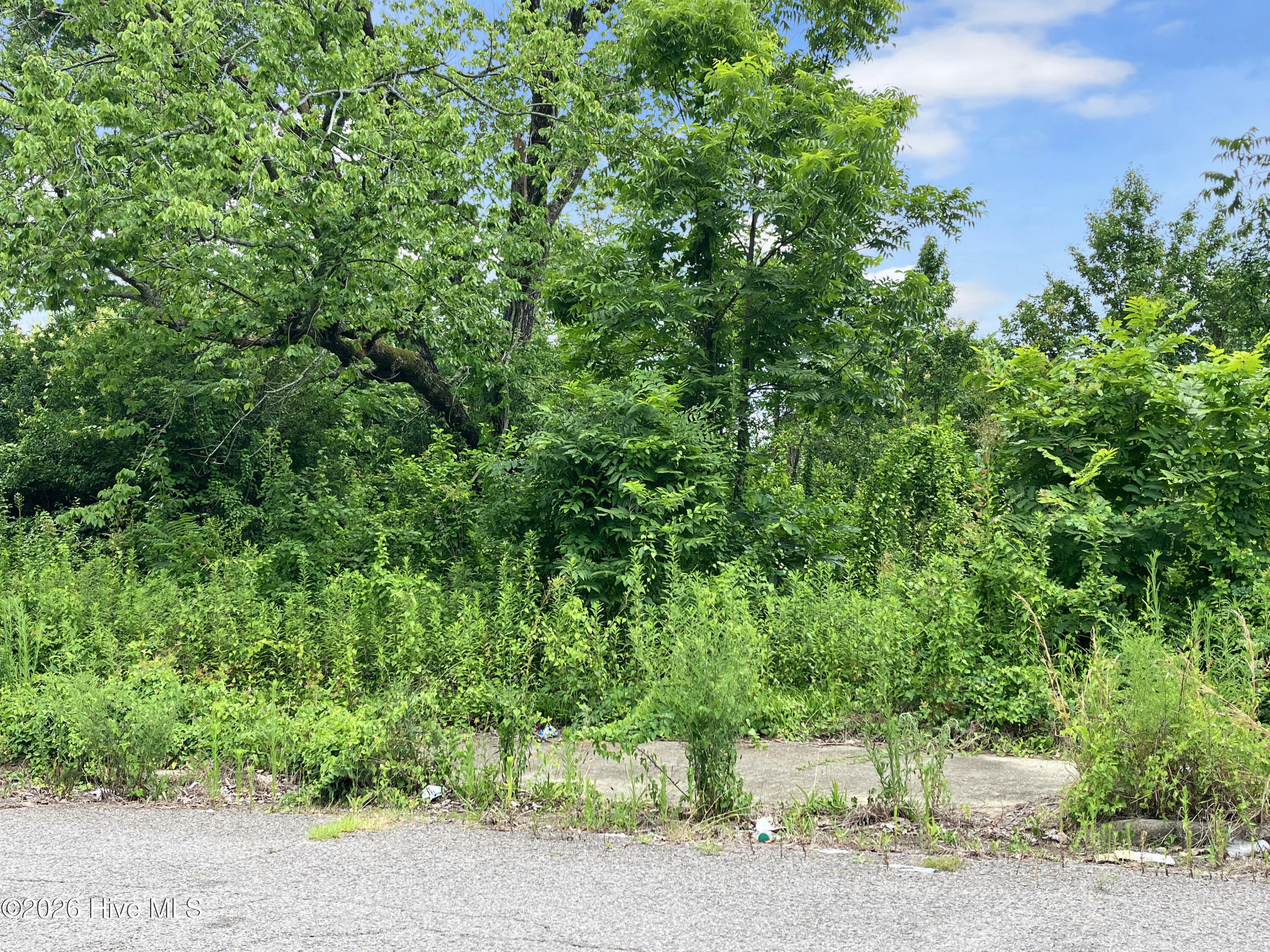 1316 Conklin Avenue Property Photo 1