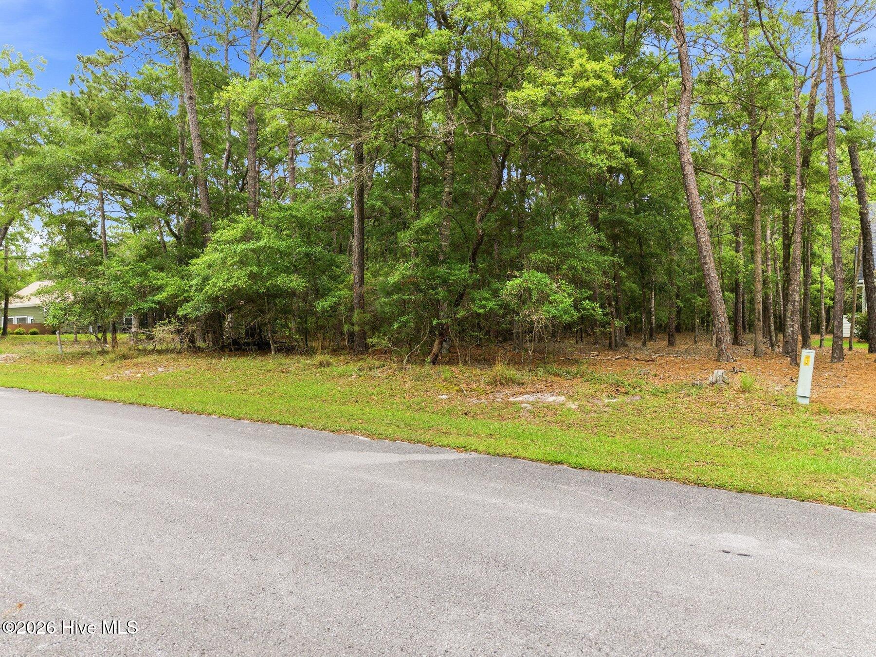 1820 Harbour Edge Lane Sw Property Photo 17