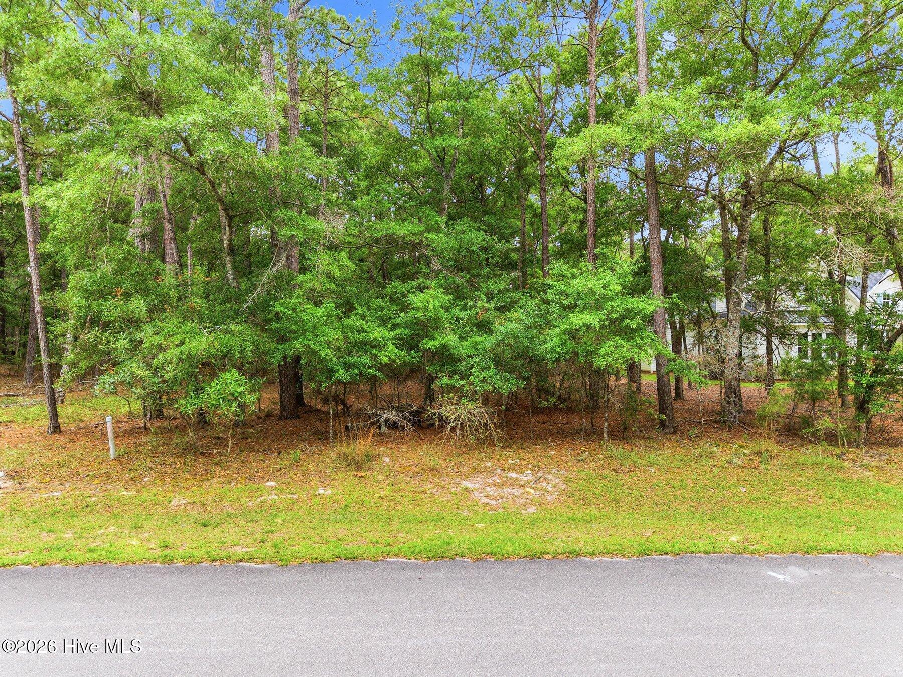 1820 Harbour Edge Lane Sw Property Photo 19