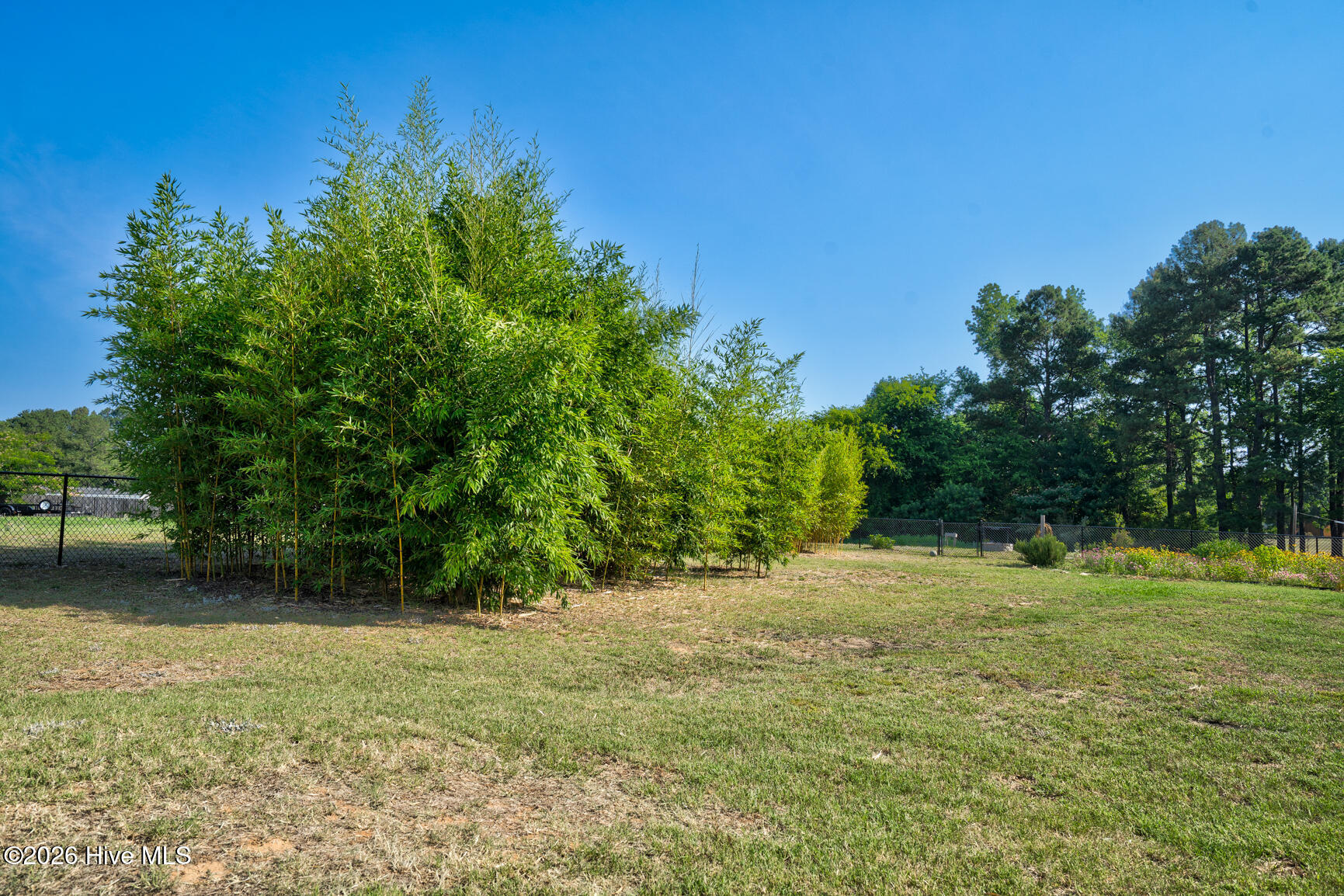 3918 Caitlin Drive Property Photo 41