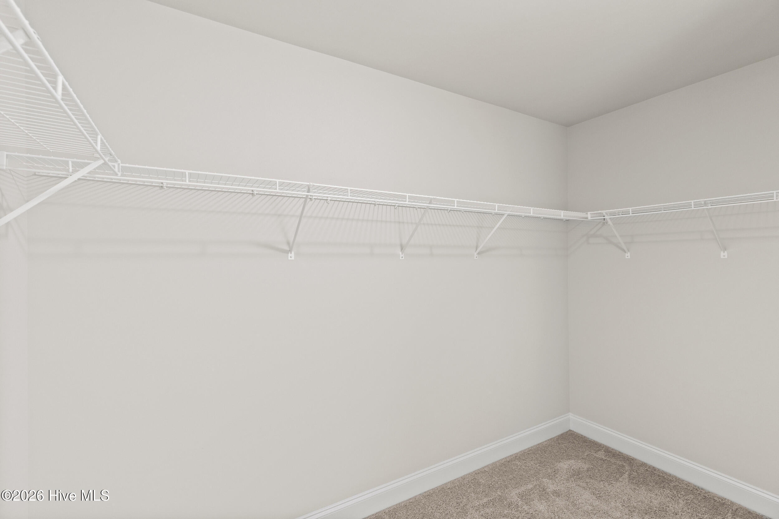 208 Torrey Pine Trail Property Photo 26