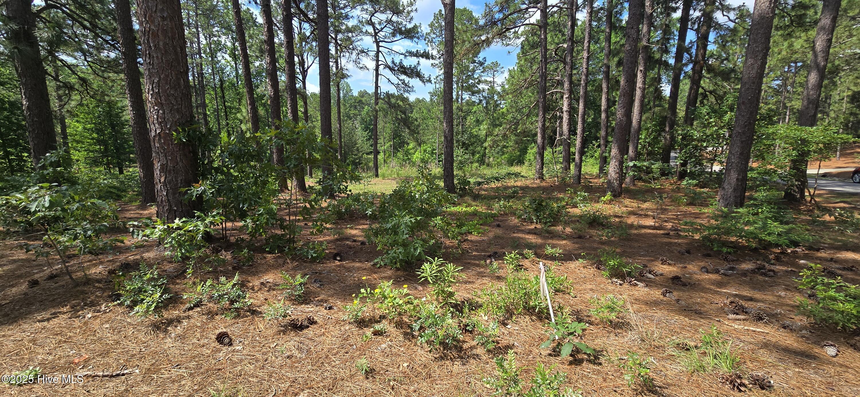 101 3207r Owens Circle Property Photo 6