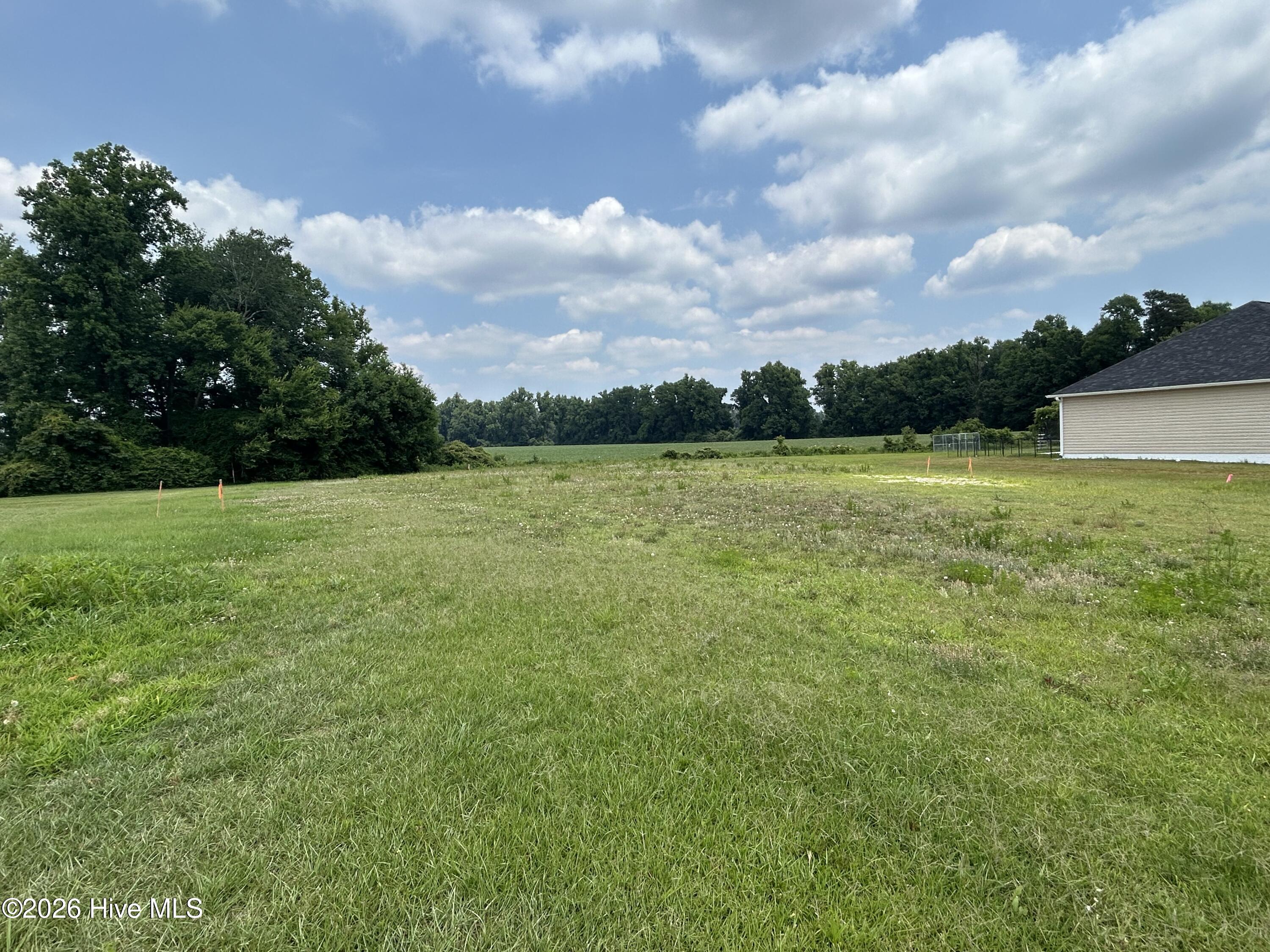 239 Cavanaughtown Road Property Photo 5
