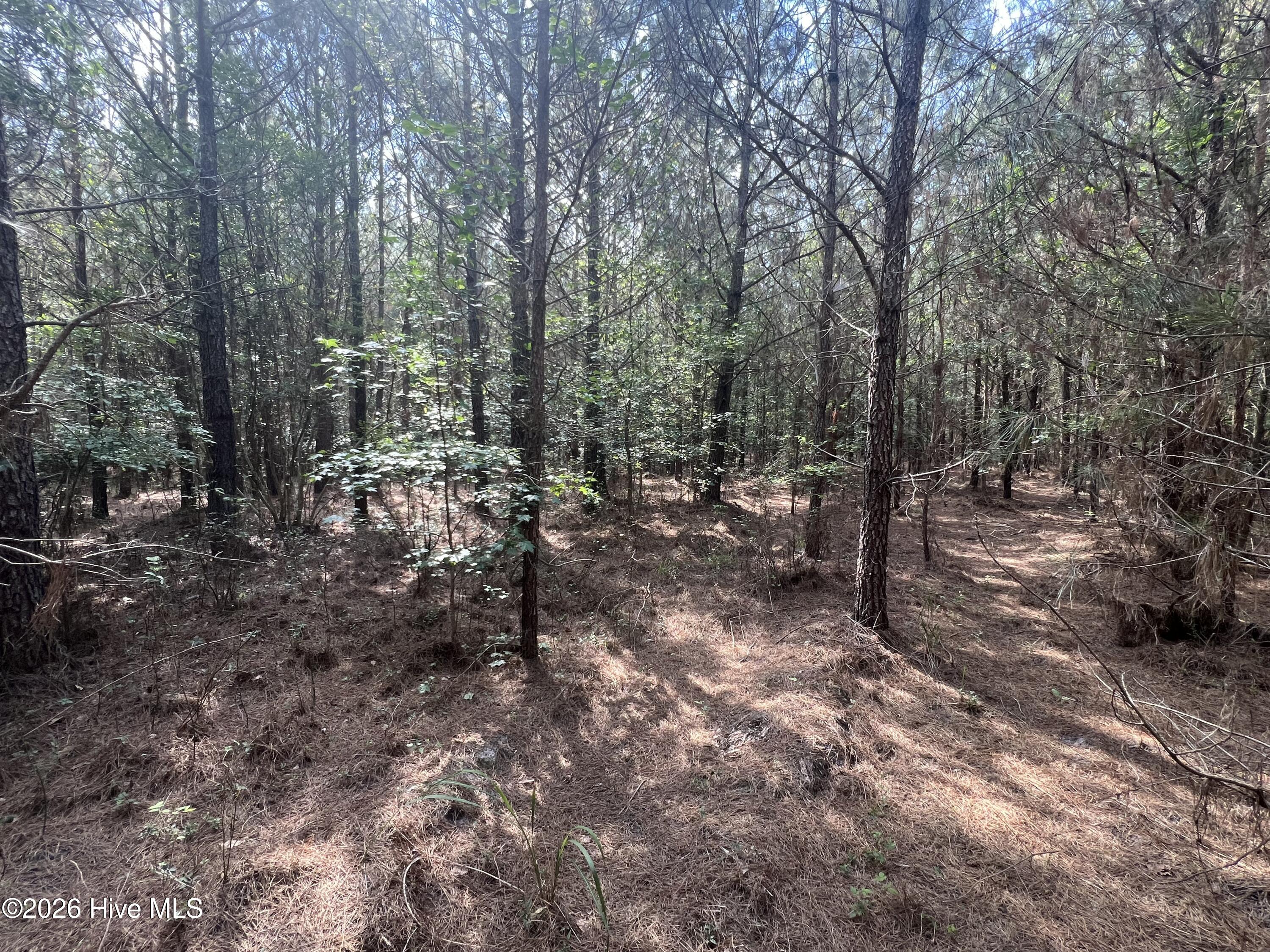 2364 Nc 102 E Property Photo 15