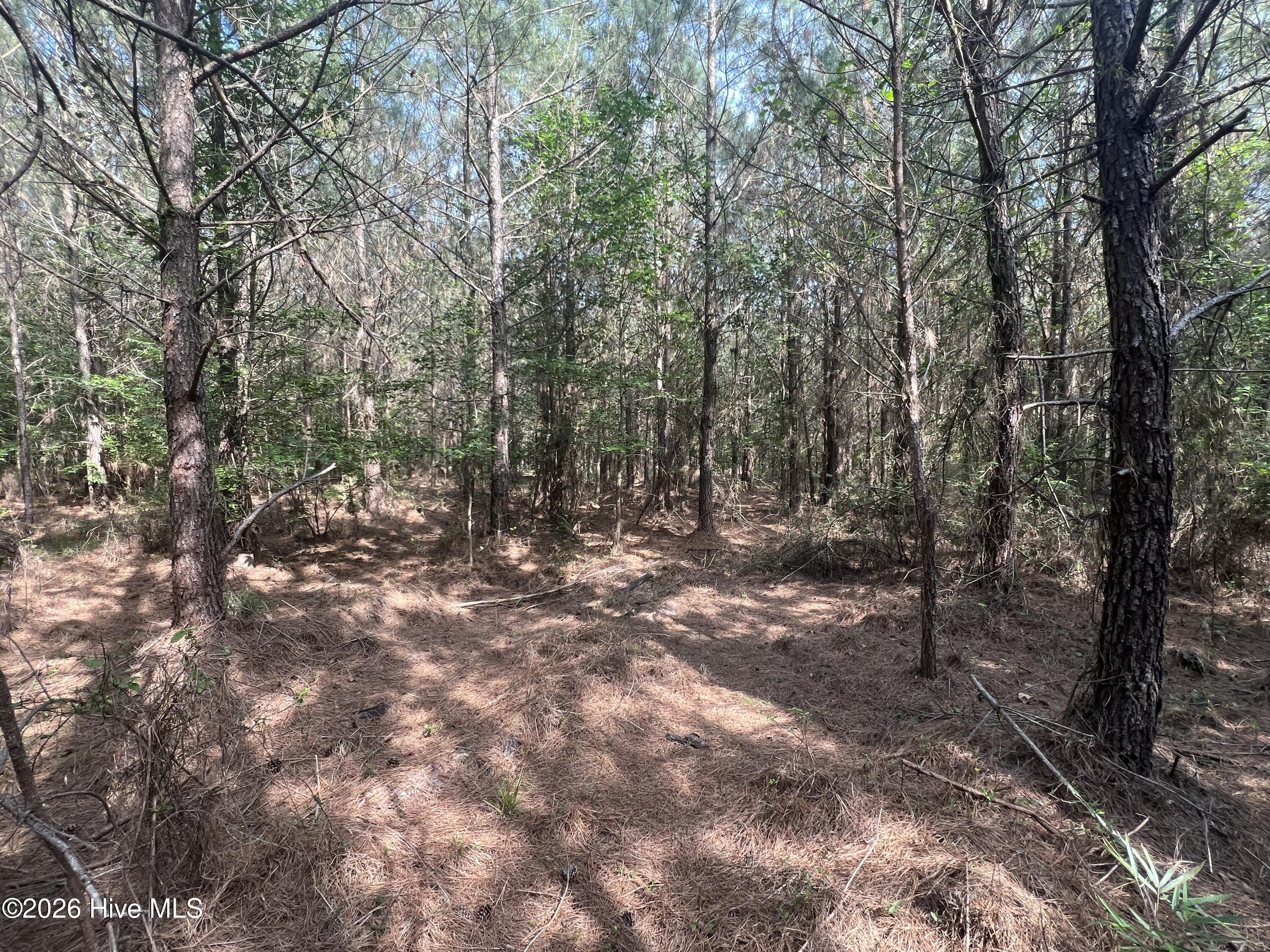 2364 Nc 102 E Property Photo 16