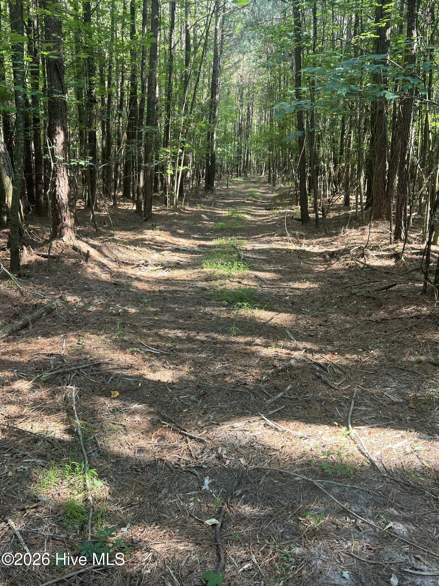 2364 Nc 102 E Property Photo 19