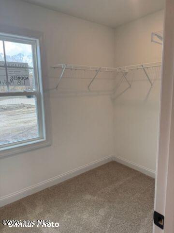 203 Gate Water Court Property Photo 12