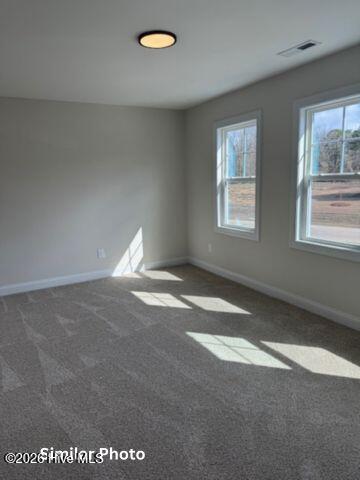 203 Gate Water Court Property Photo 22