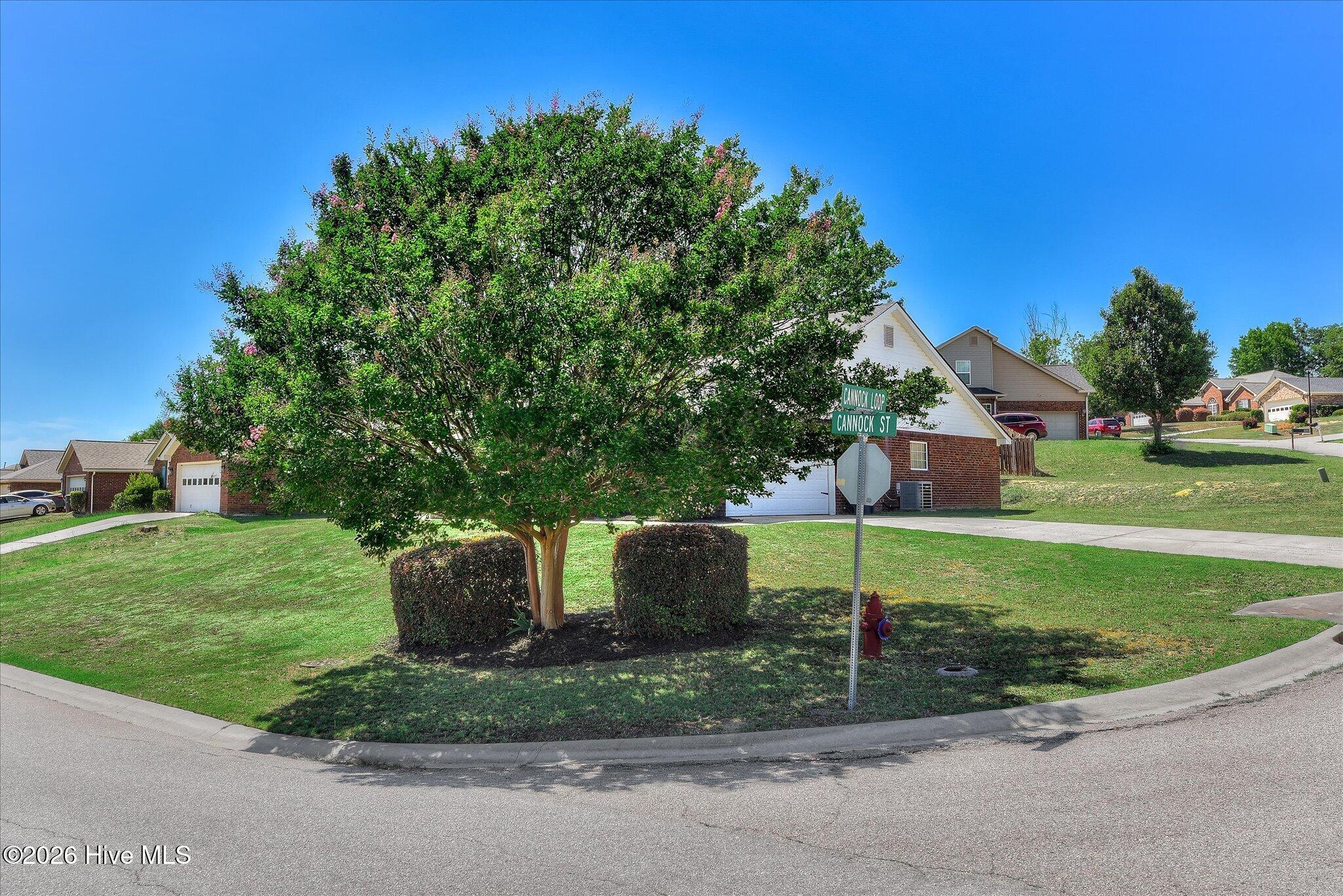 736 Cannock Loop Property Photo 4
