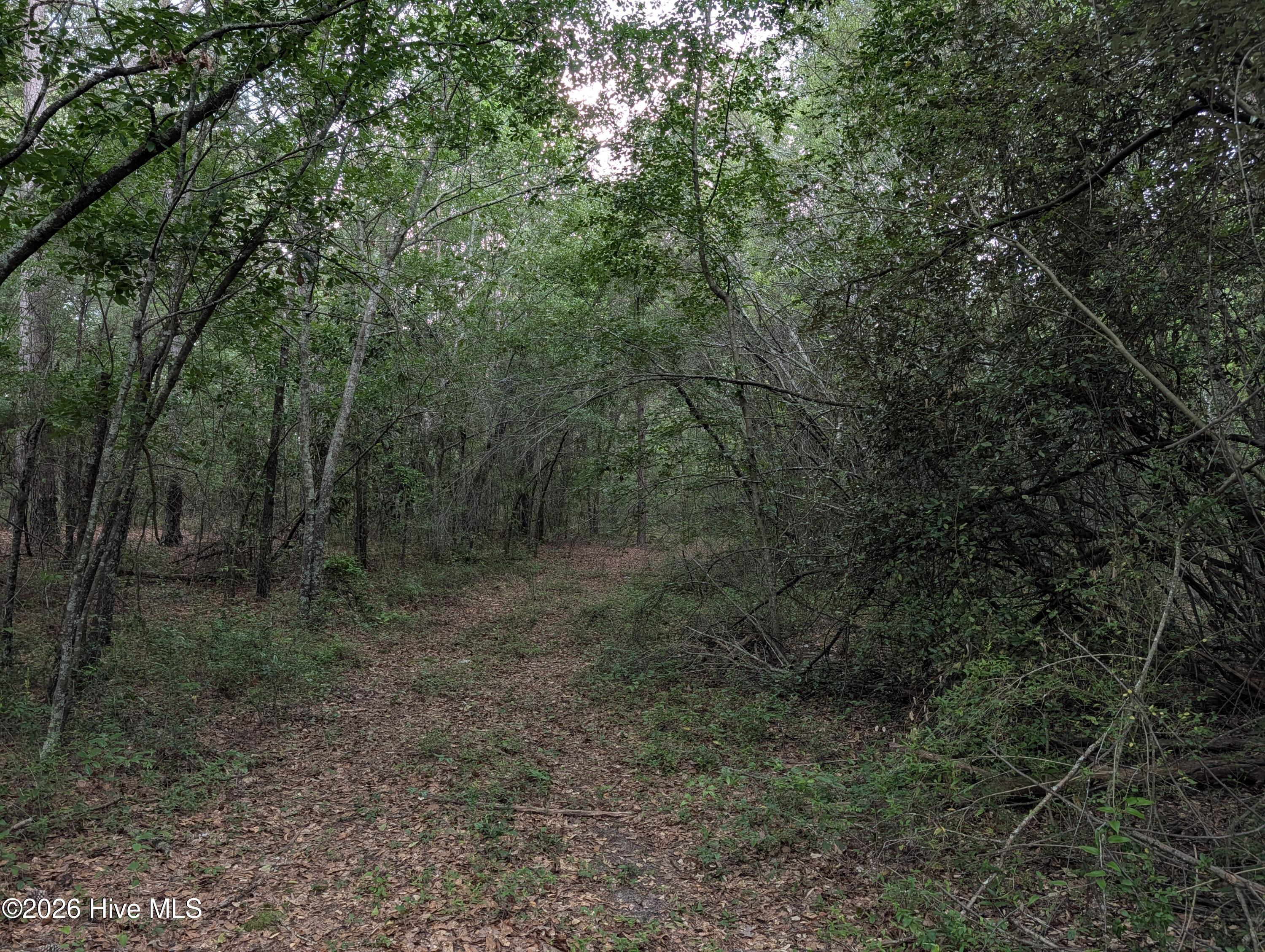 285 Garvin Drive Property Photo 4