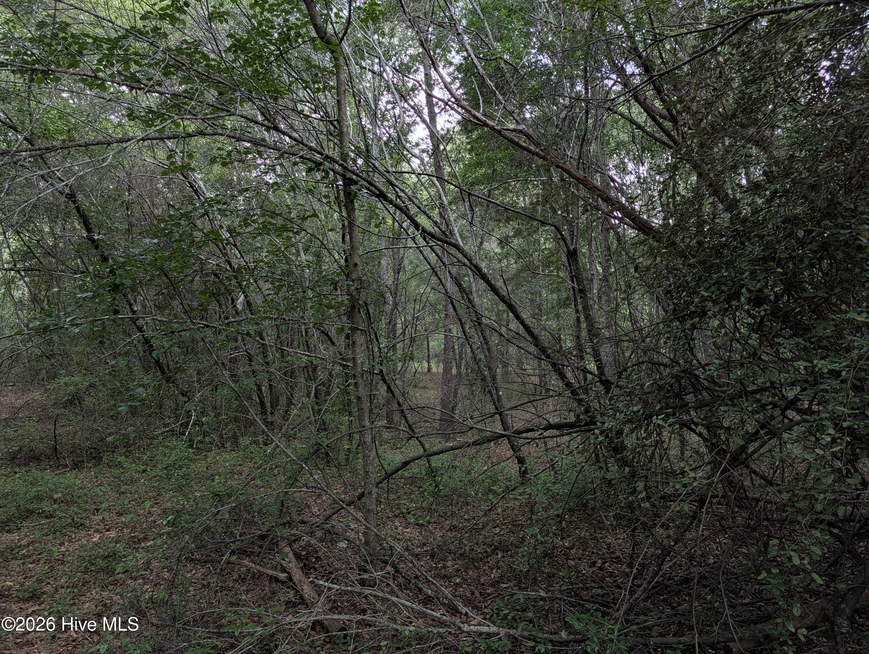 285 Garvin Drive Property Photo 6