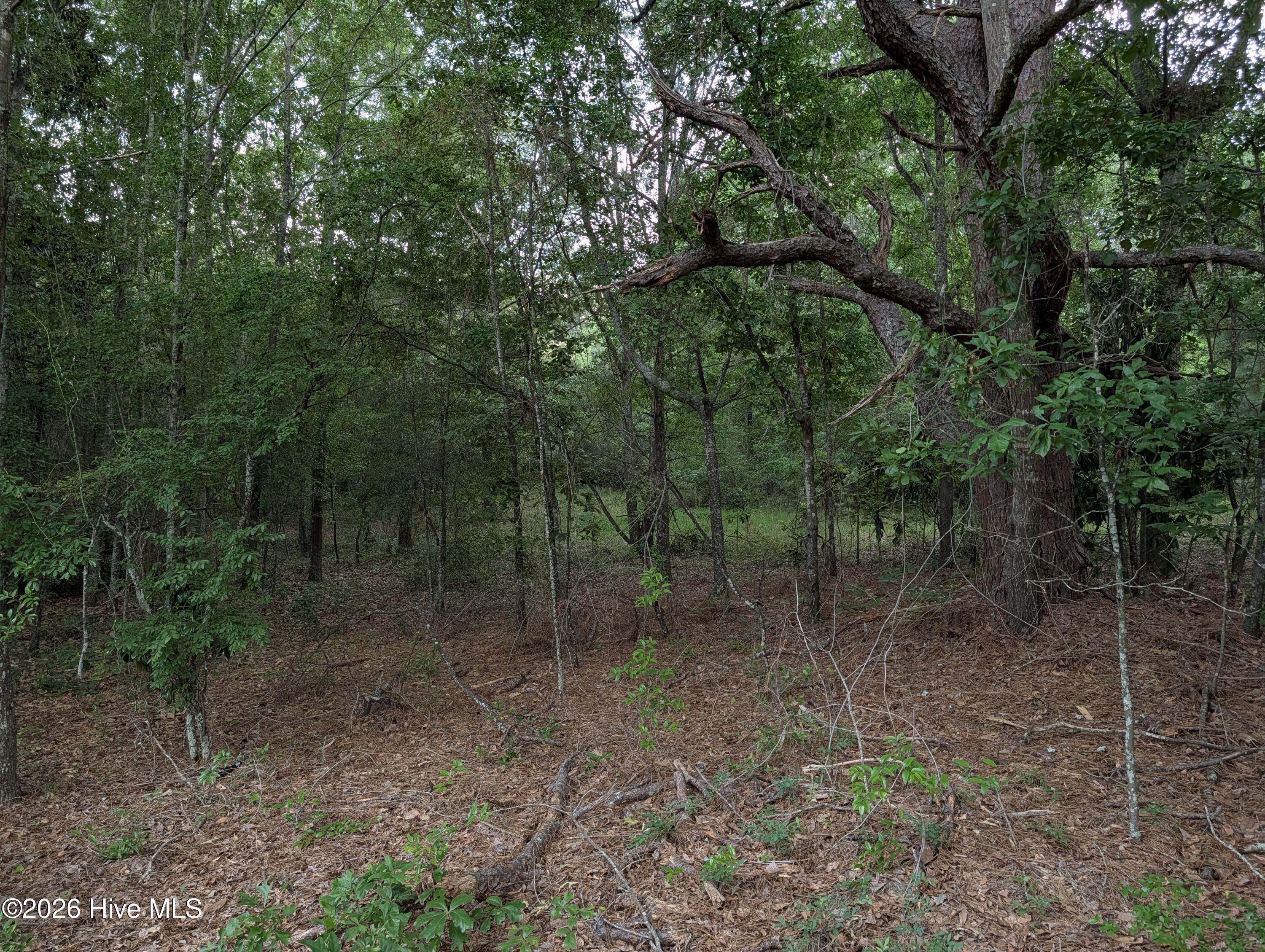 285 Garvin Drive Property Photo 7