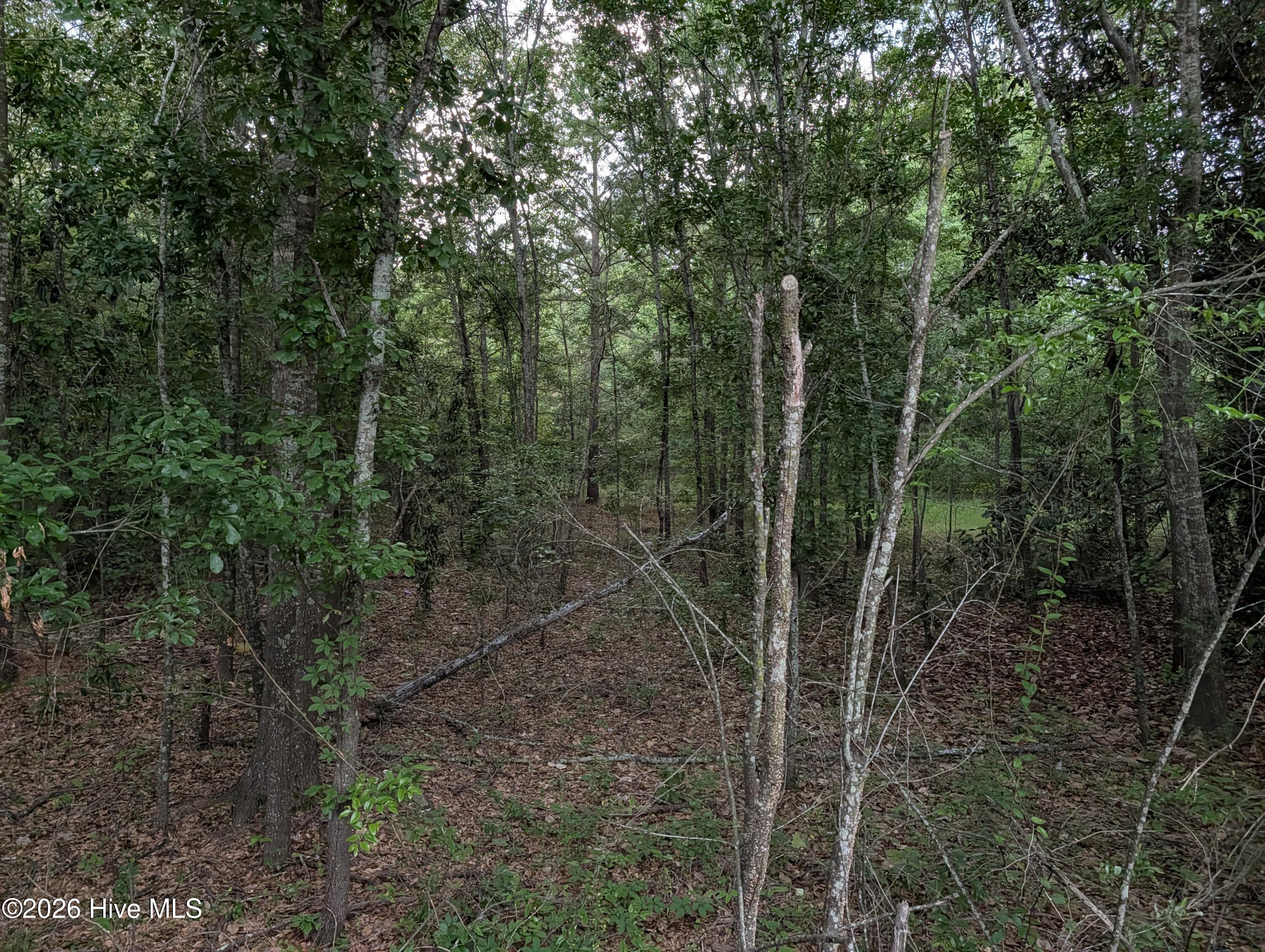 285 Garvin Drive Property Photo 8