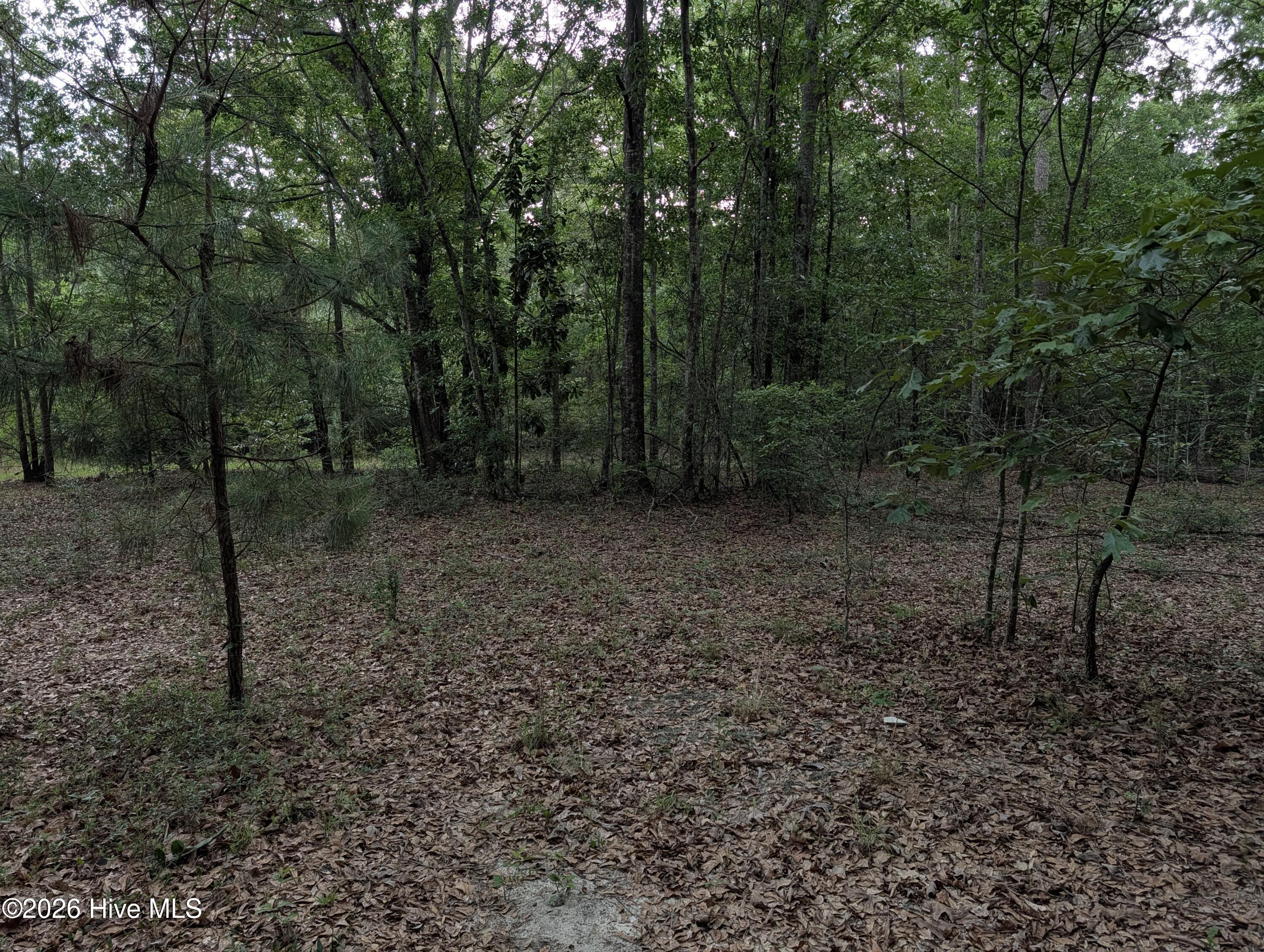 285 Garvin Drive Property Photo 10