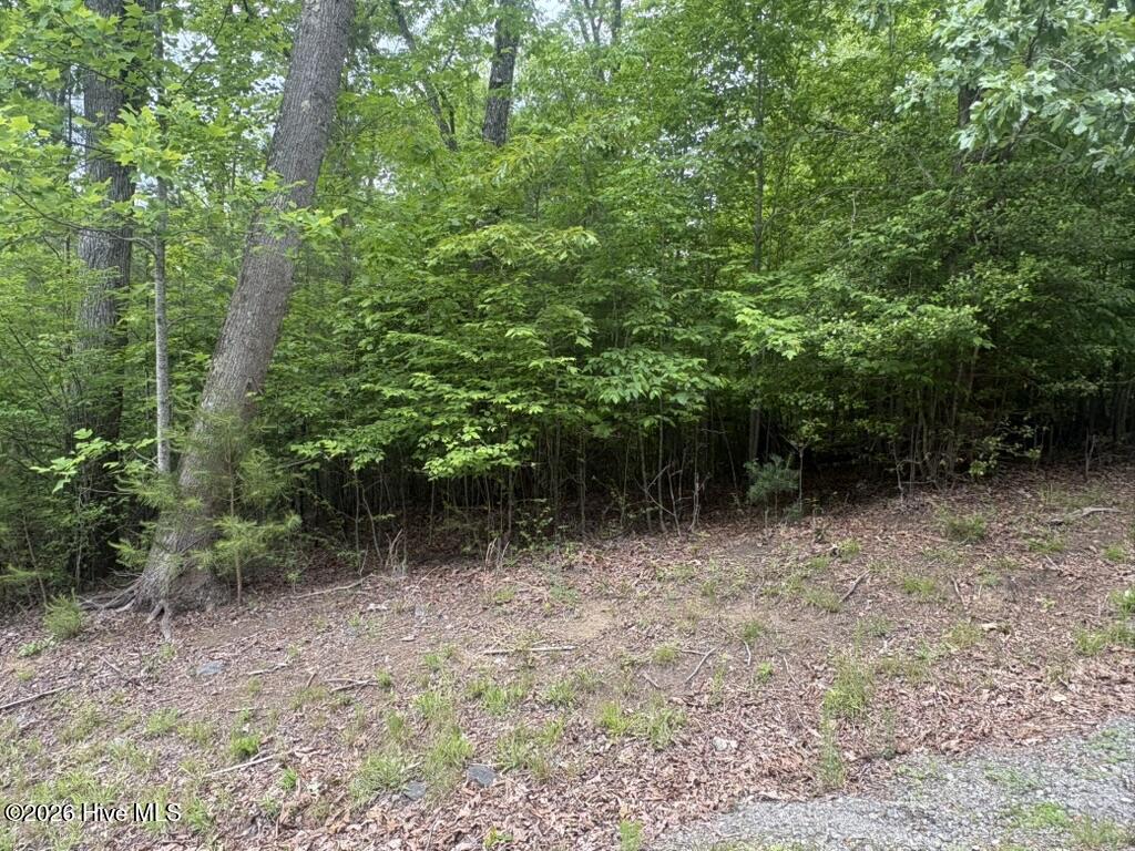 Lot 18 18 Lost River Trl Trail Property Photo 2