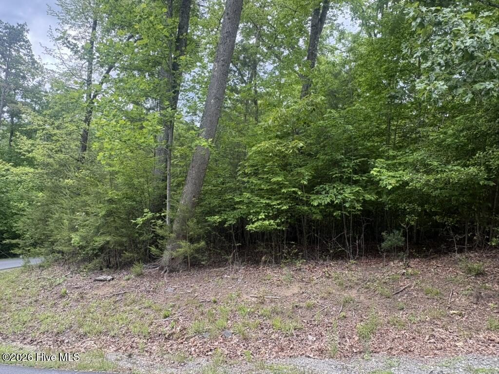 Lot 18 18 Lost River Trl Trail Property Photo 6