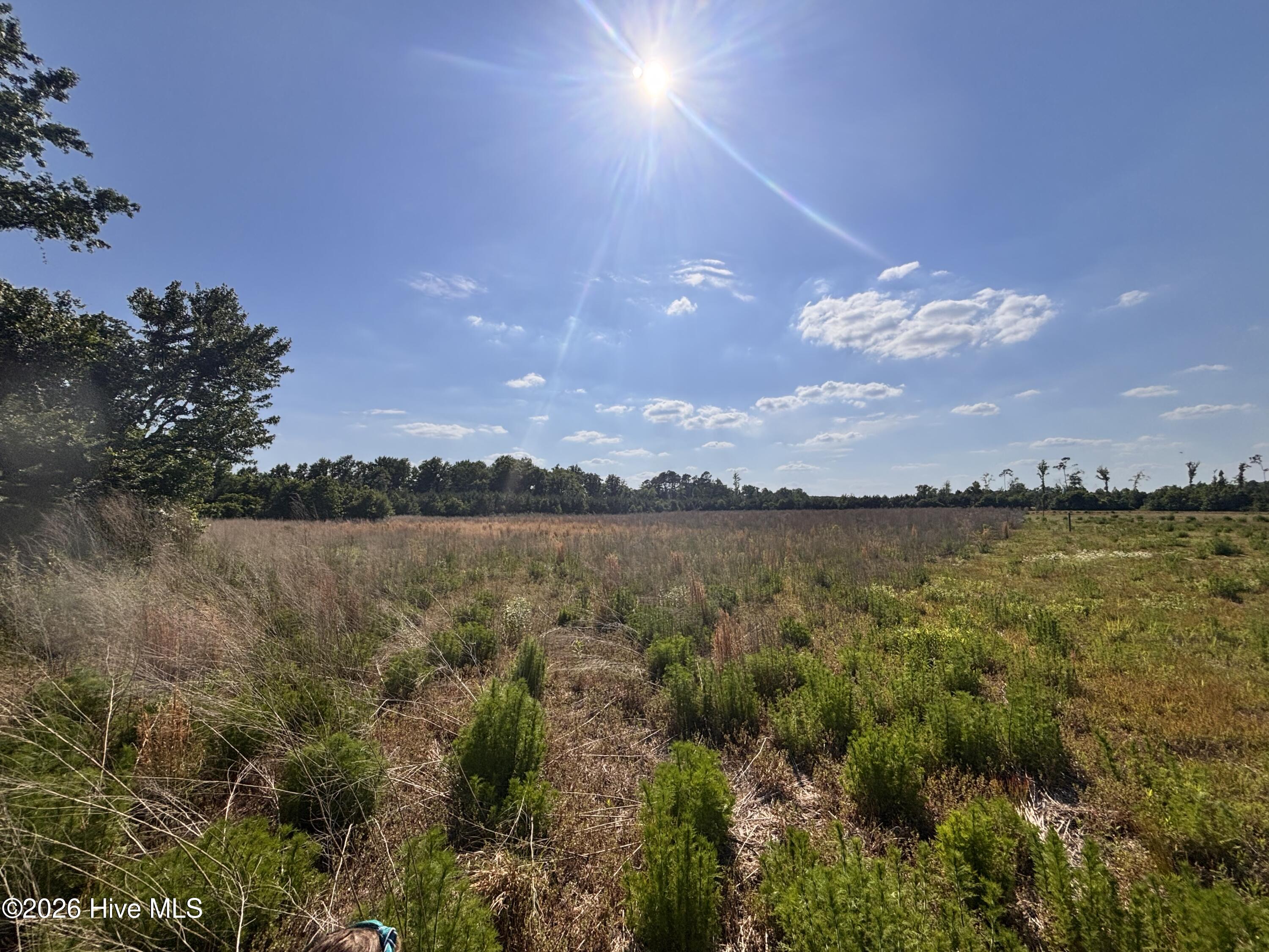 Lot 2 Bass Lake Road Property Photo 3
