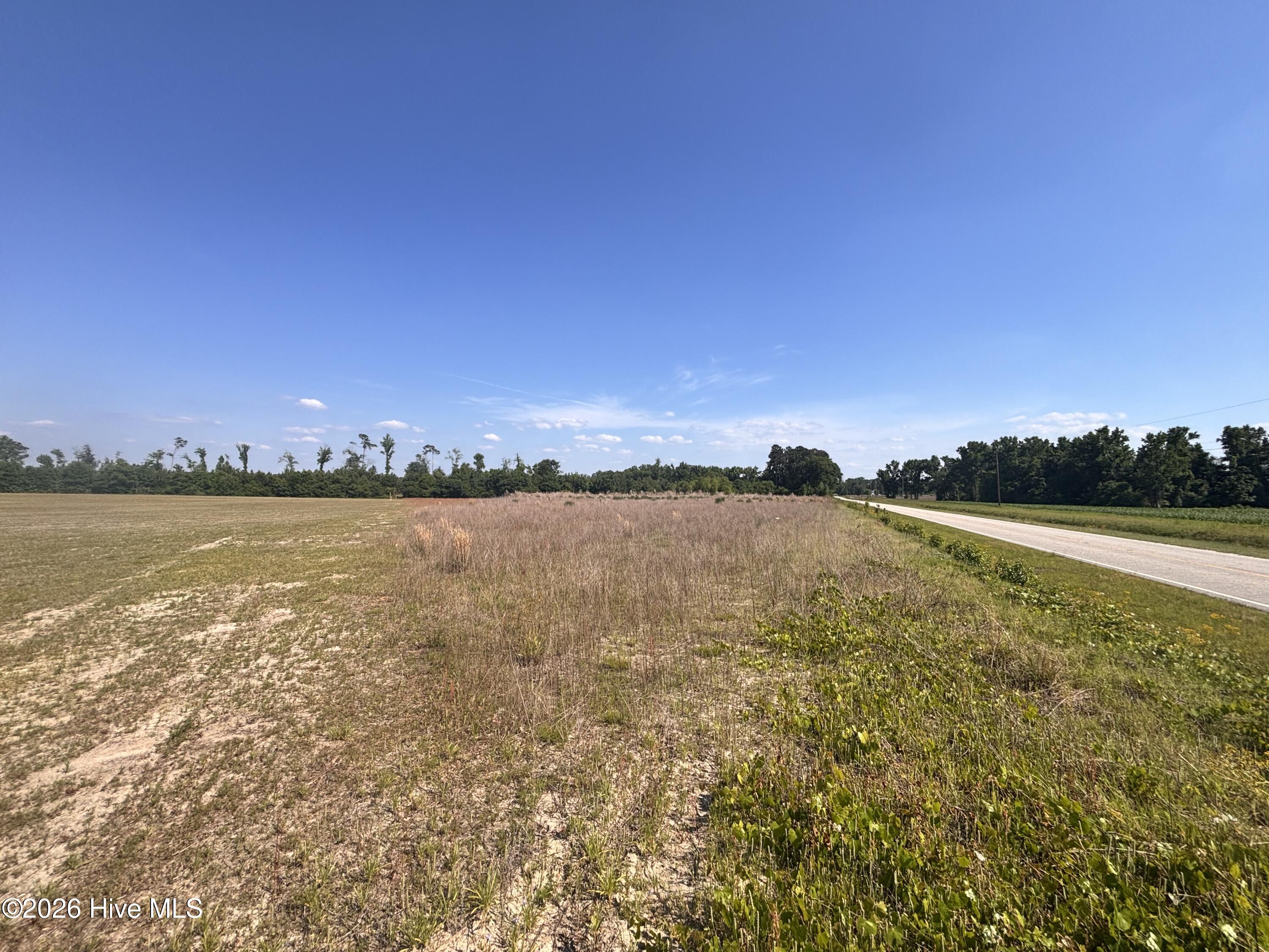 Lot 2 Bass Lake Road Property Photo 4