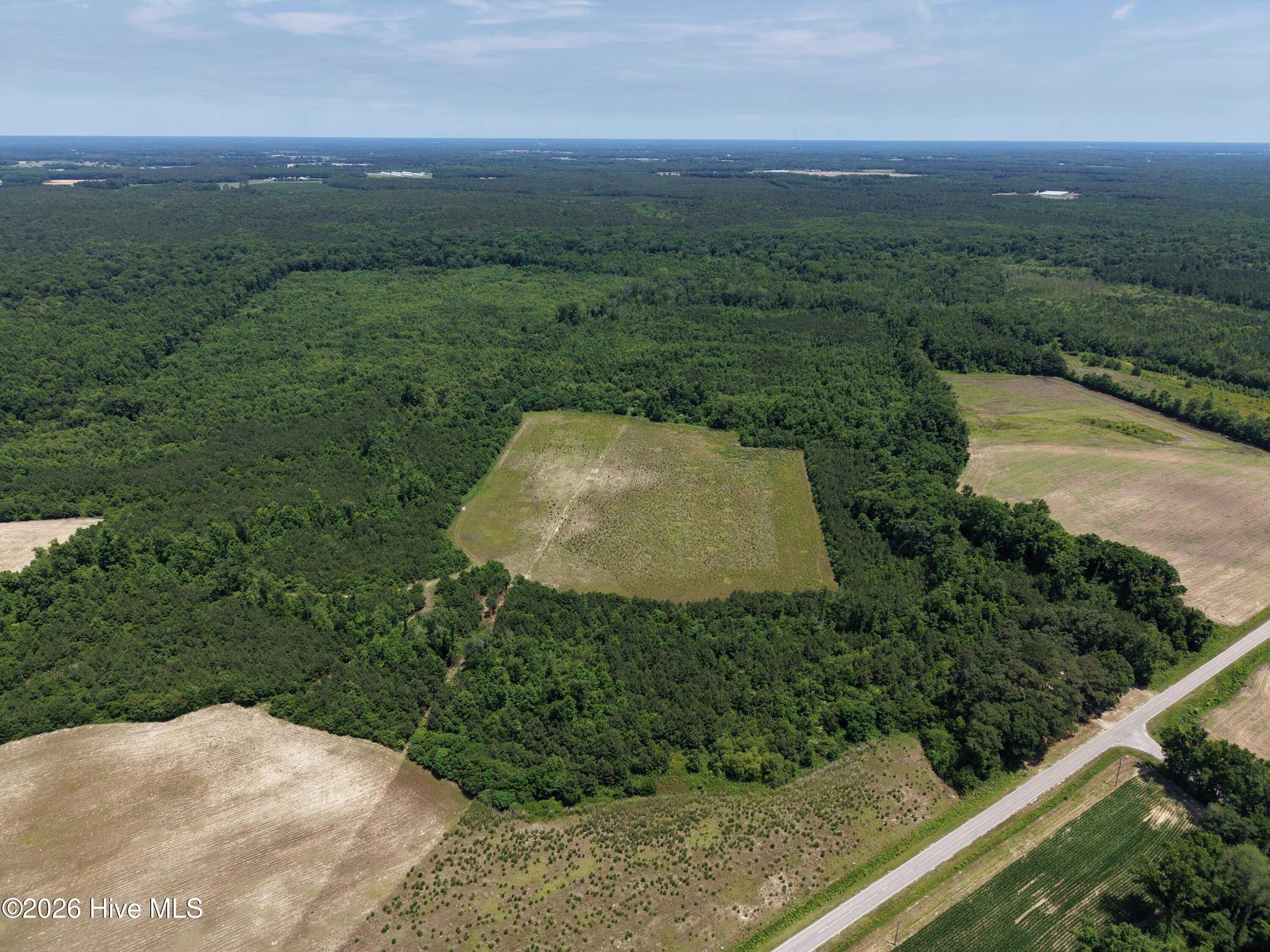 Lot 2 Bass Lake Road Property Photo 5