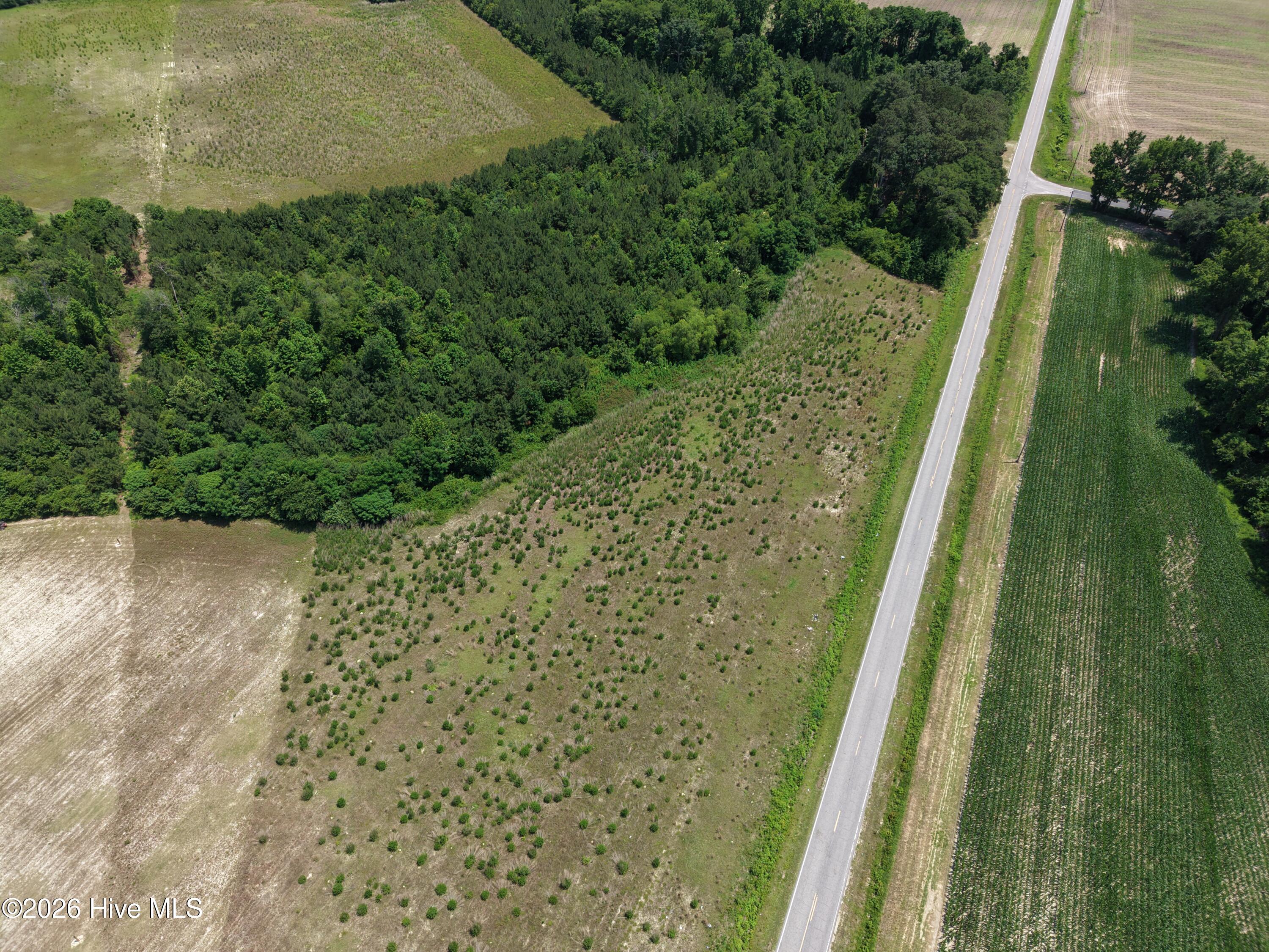 Lot 2 Bass Lake Road Property Photo 6