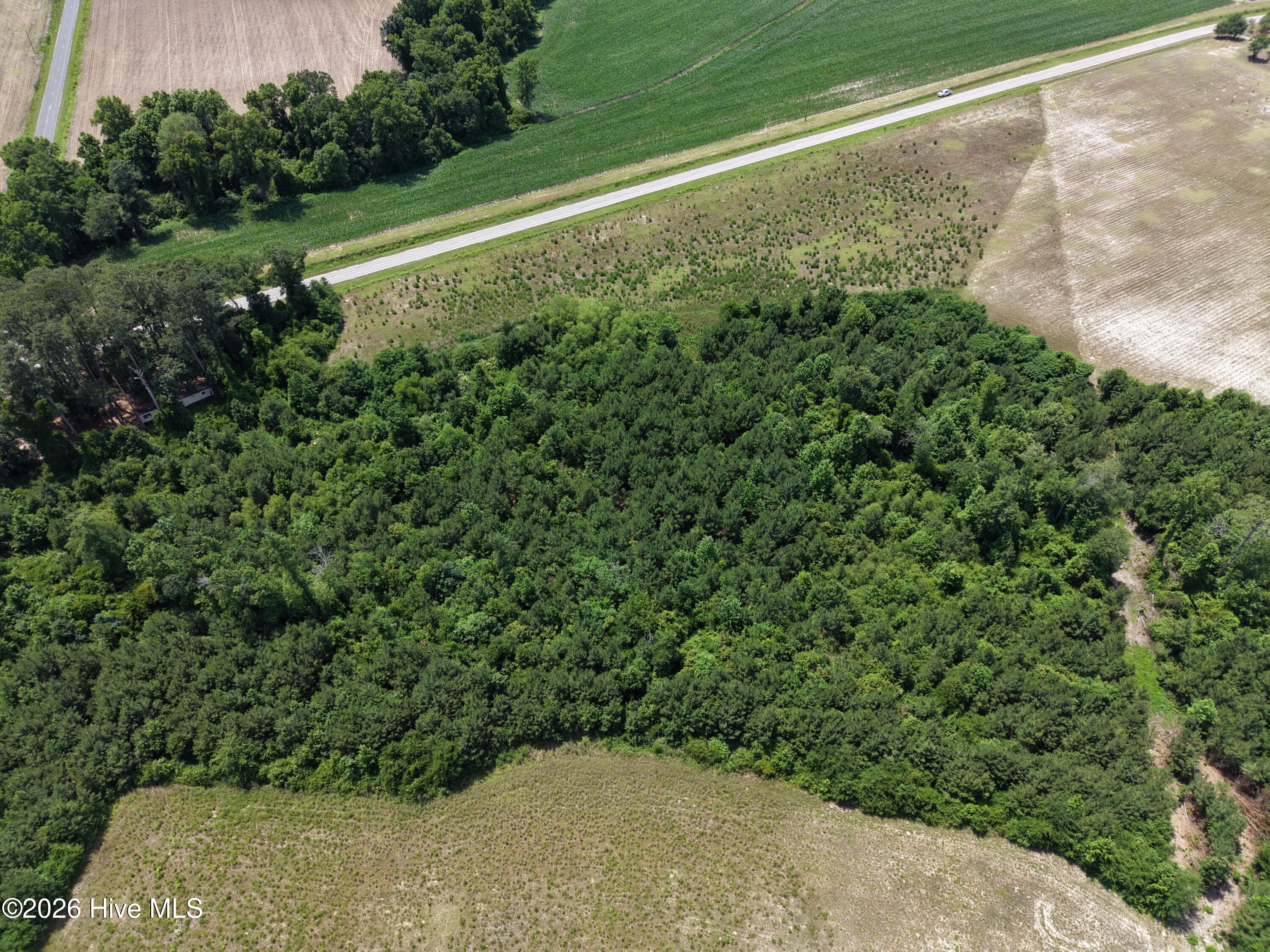 Lot 2 Bass Lake Road Property Photo 7