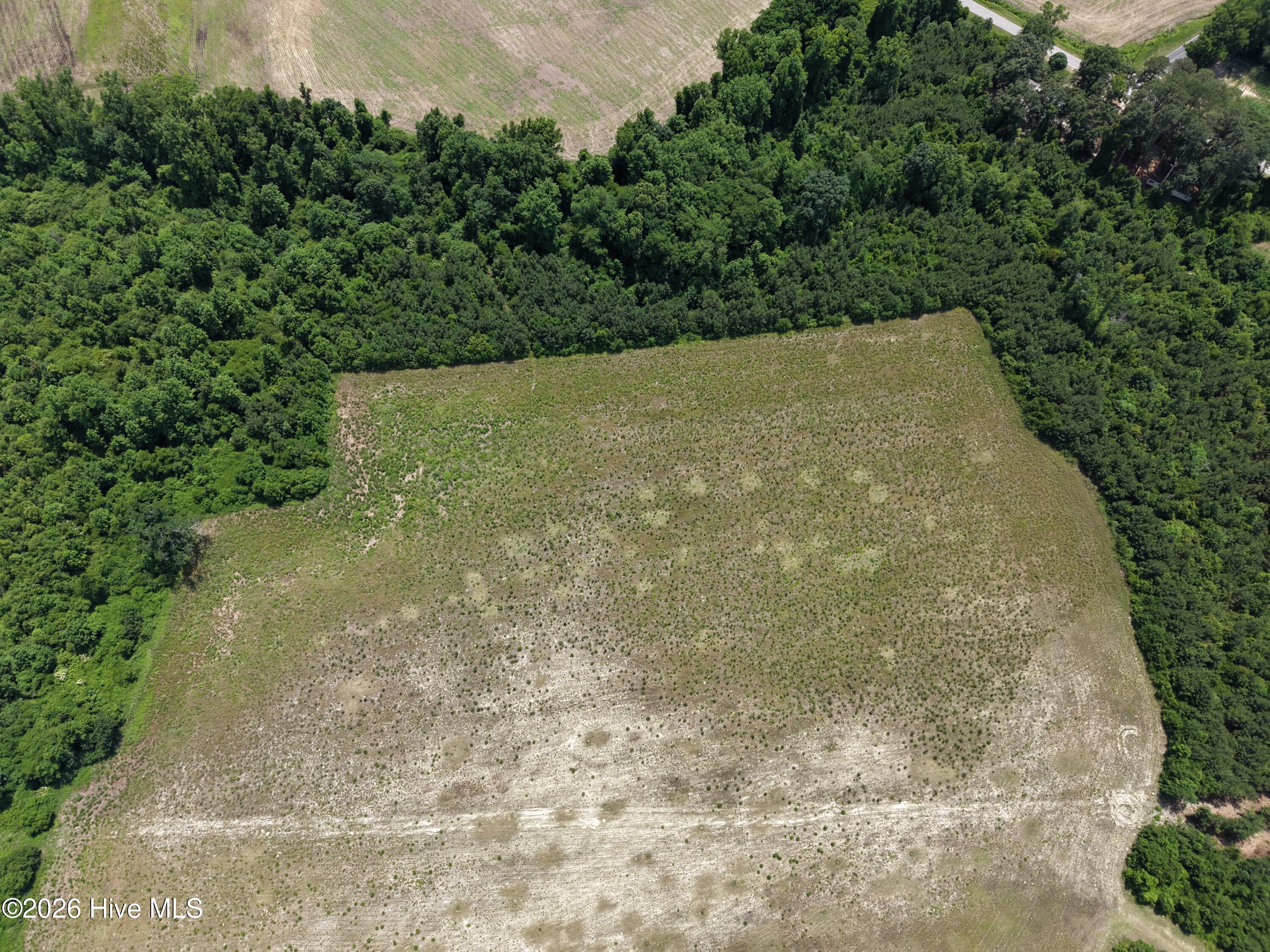 Lot 2 Bass Lake Road Property Photo 8