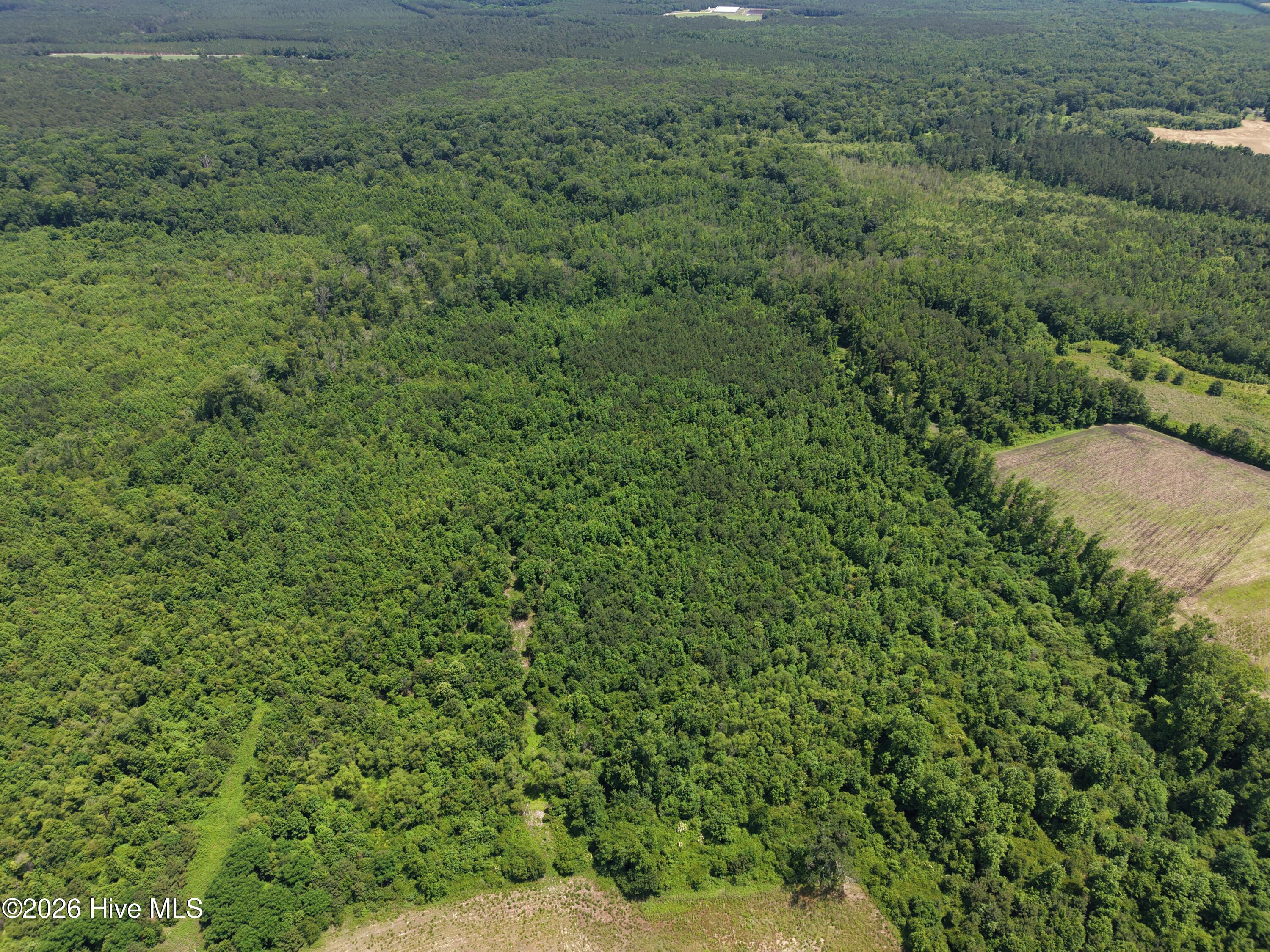 Lot 2 Bass Lake Road Property Photo 12