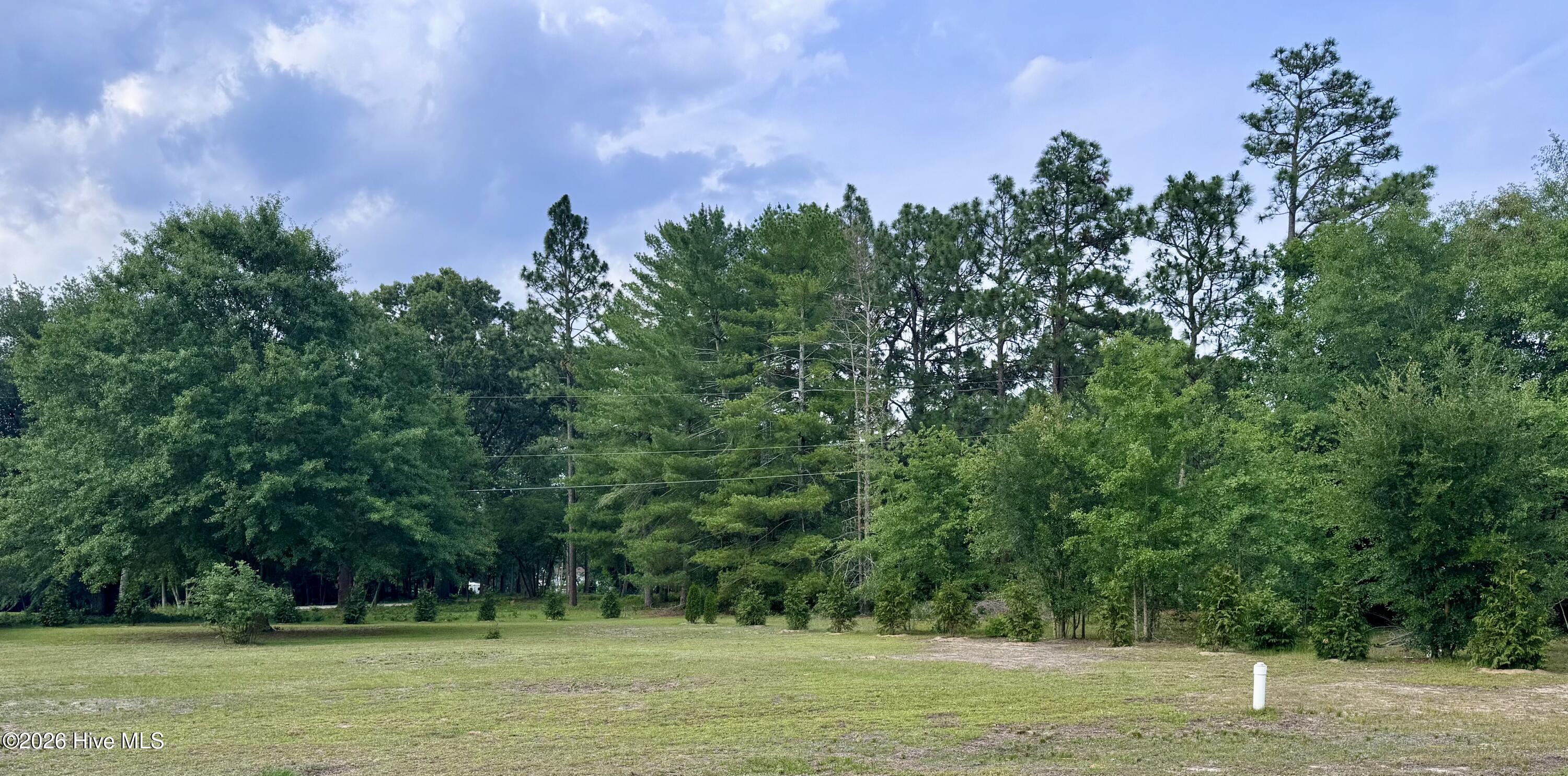 12341 Mallard Creek Drive Property Photo 1