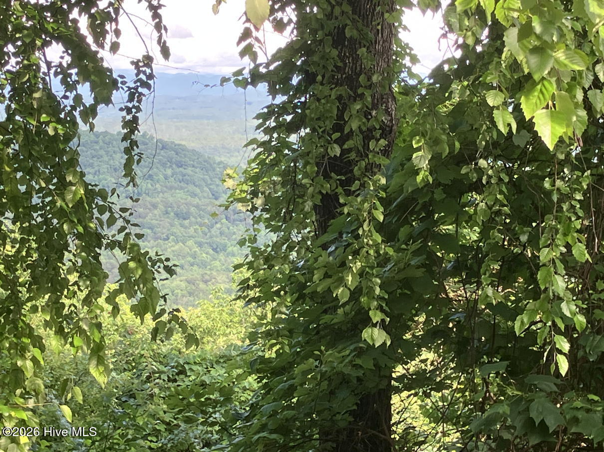 Lot 51 51 Buck Ridge Drive Property Photo 2