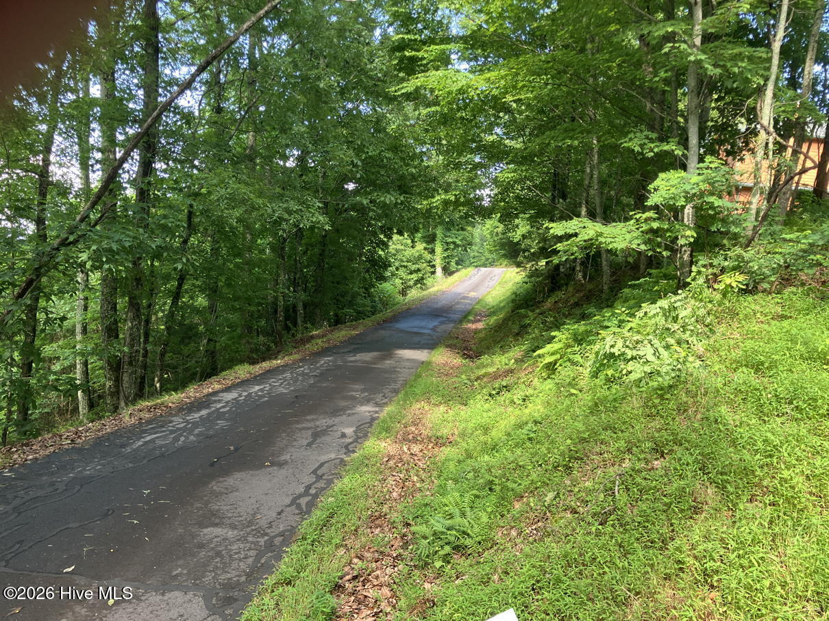 Lot 51 51 Buck Ridge Drive Property Photo 3