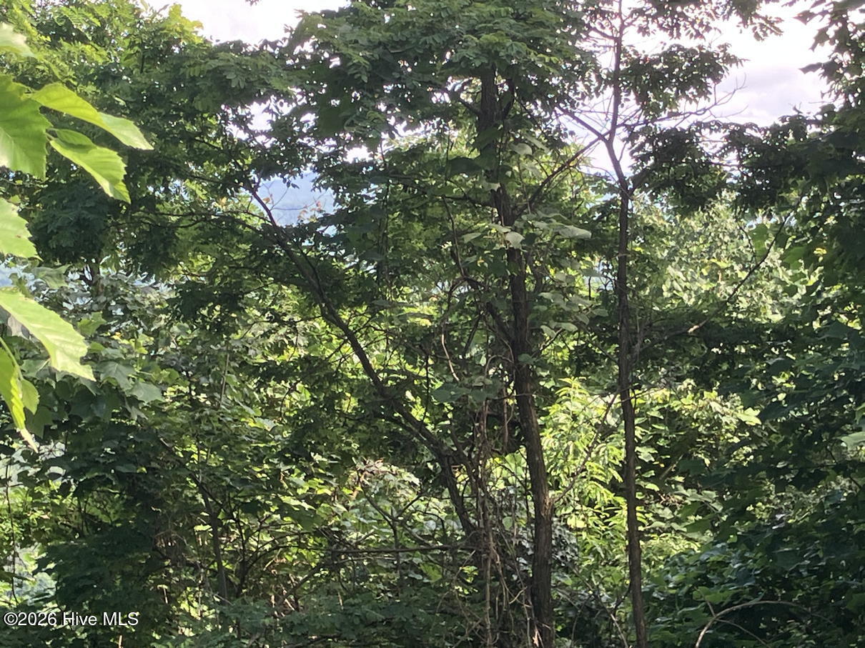 Lot 51 51 Buck Ridge Drive Property Photo 4