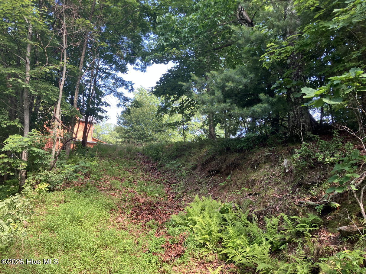 Lot 51 51 Buck Ridge Drive Property Photo 5
