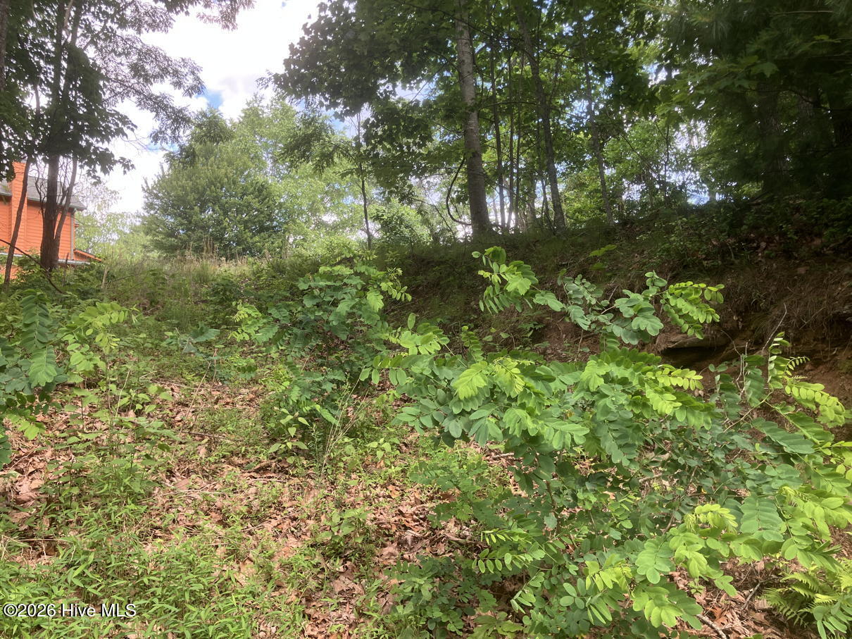Lot 51 51 Buck Ridge Drive Property Photo 6