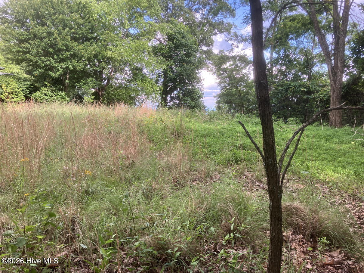 Lot 51 51 Buck Ridge Drive Property Photo 7